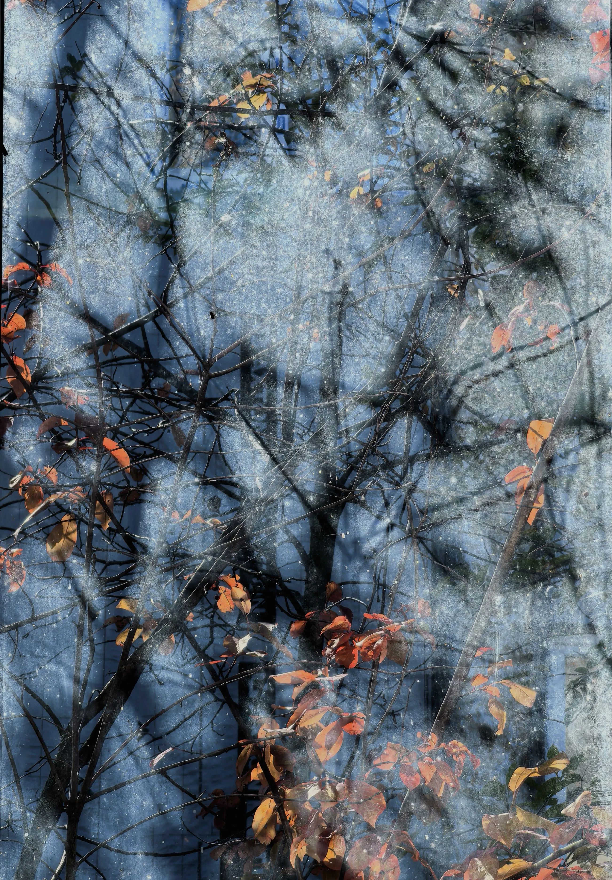 Осень в окно стучится