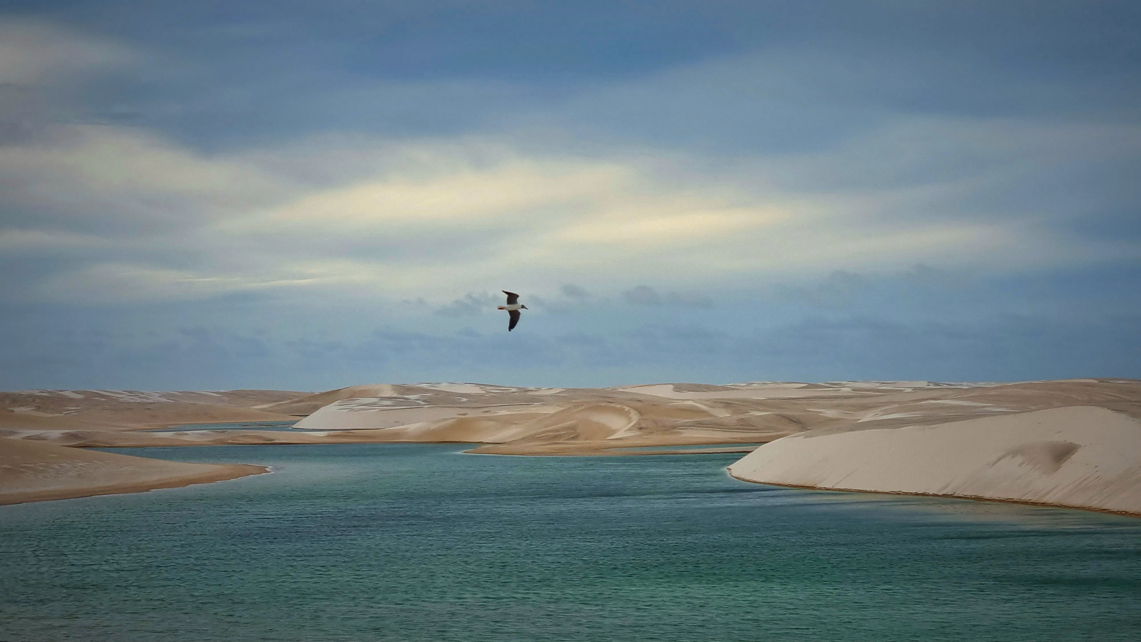 Акварельный мир