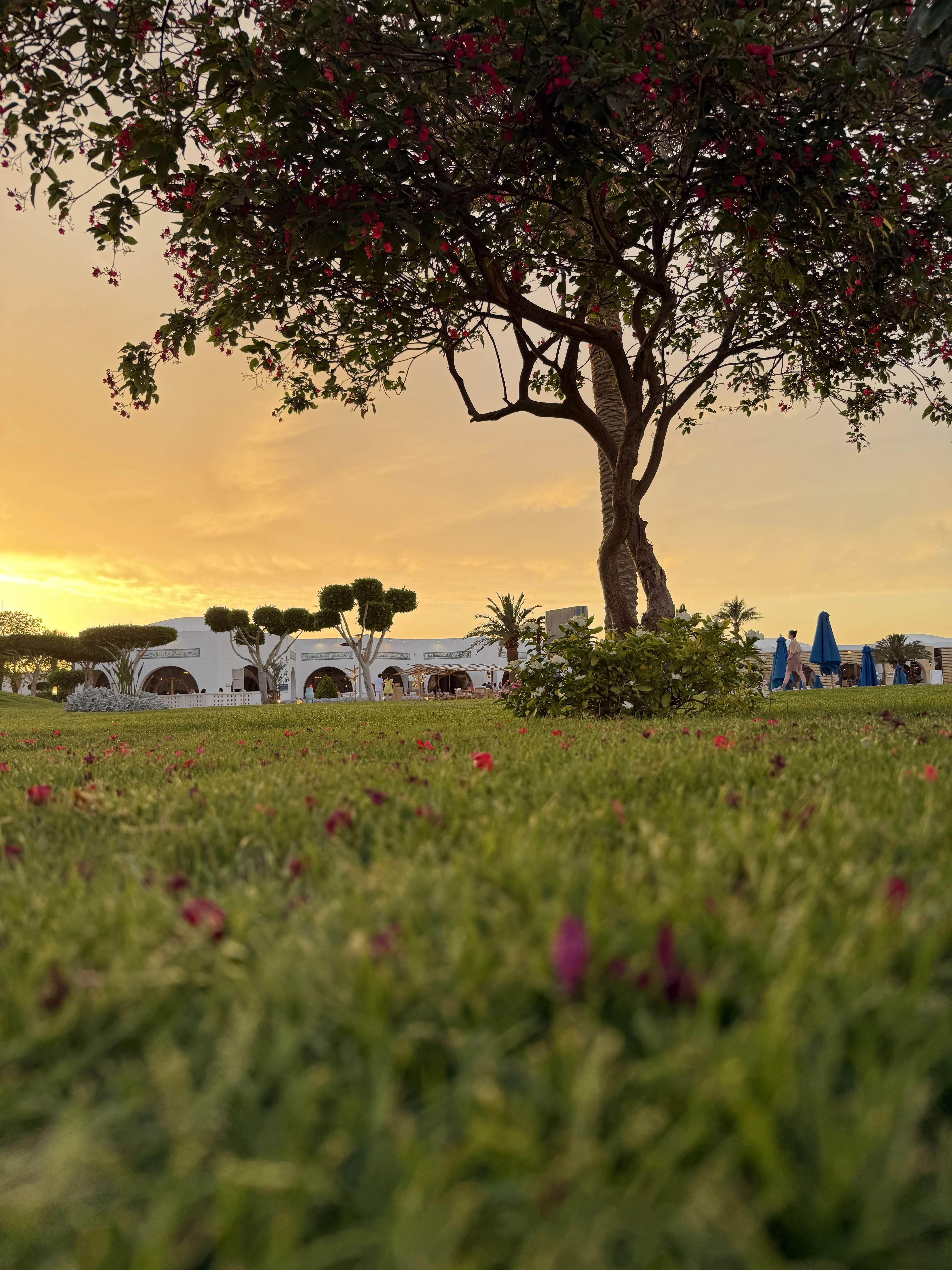 Тихий Вечерний Египет