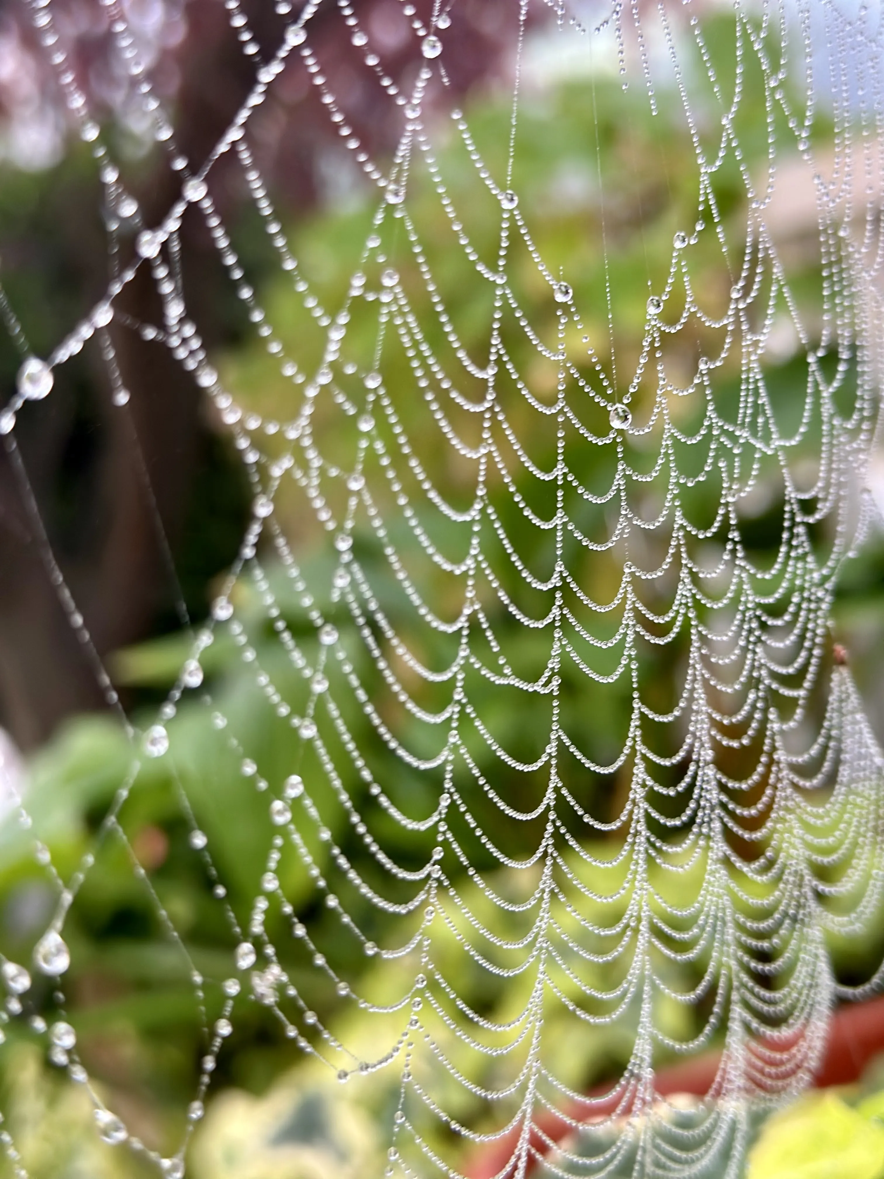 Ранняя осень