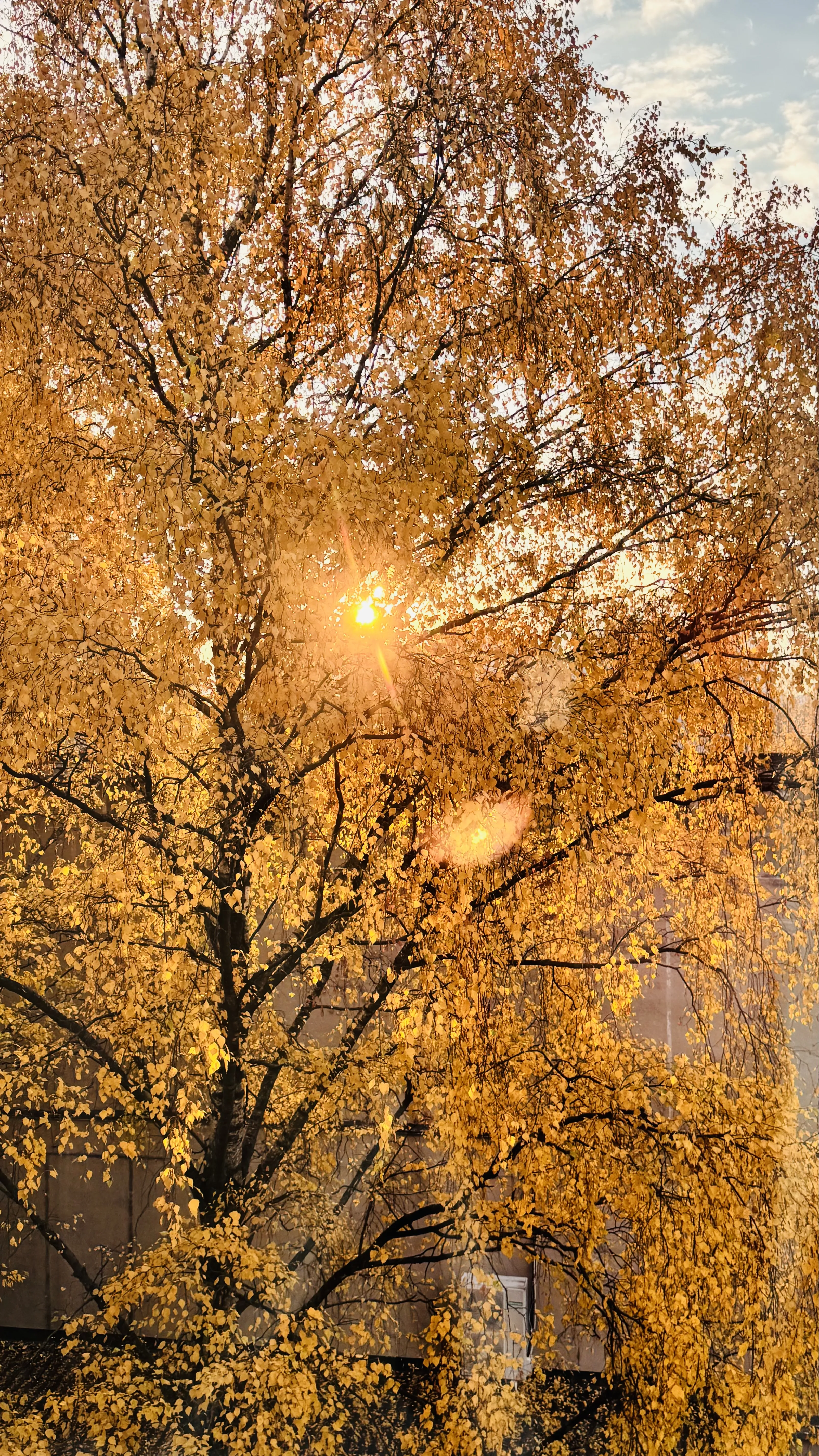 Золотая осень