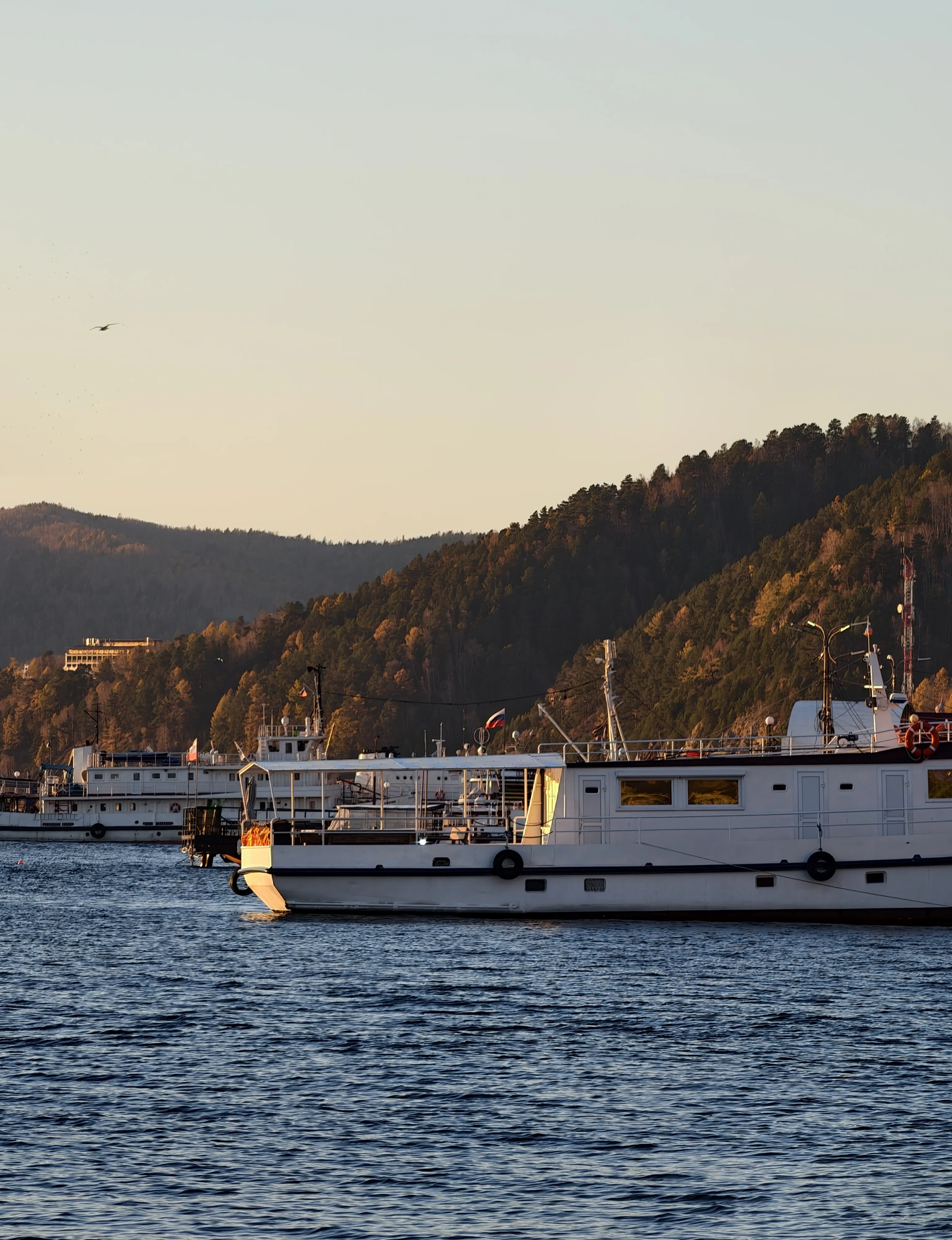 Листвянка 2025