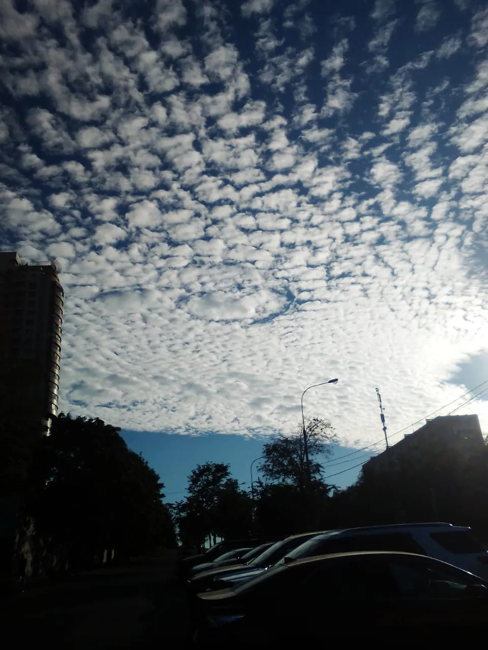 Облачное королевство