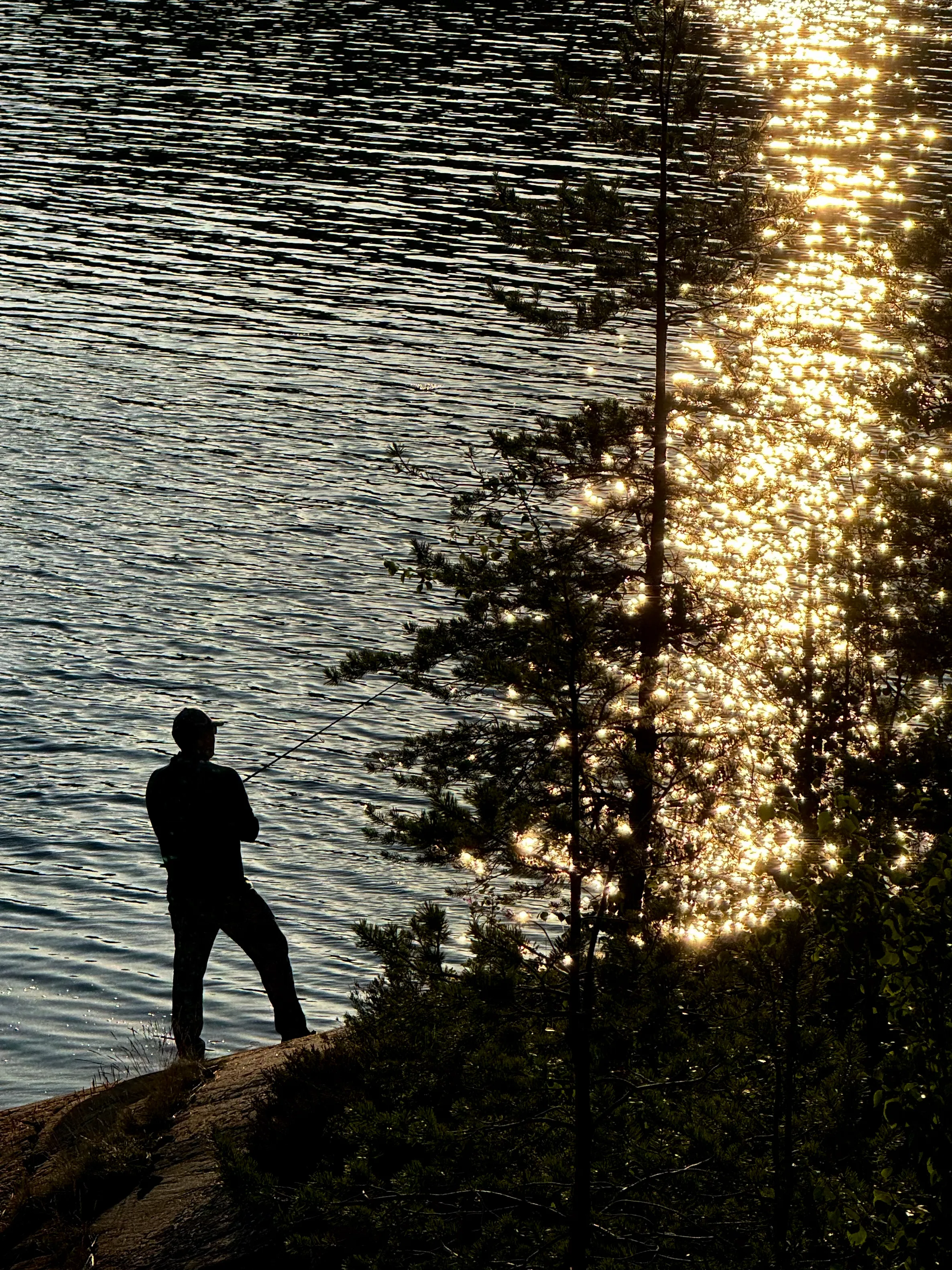 Золотой клёв