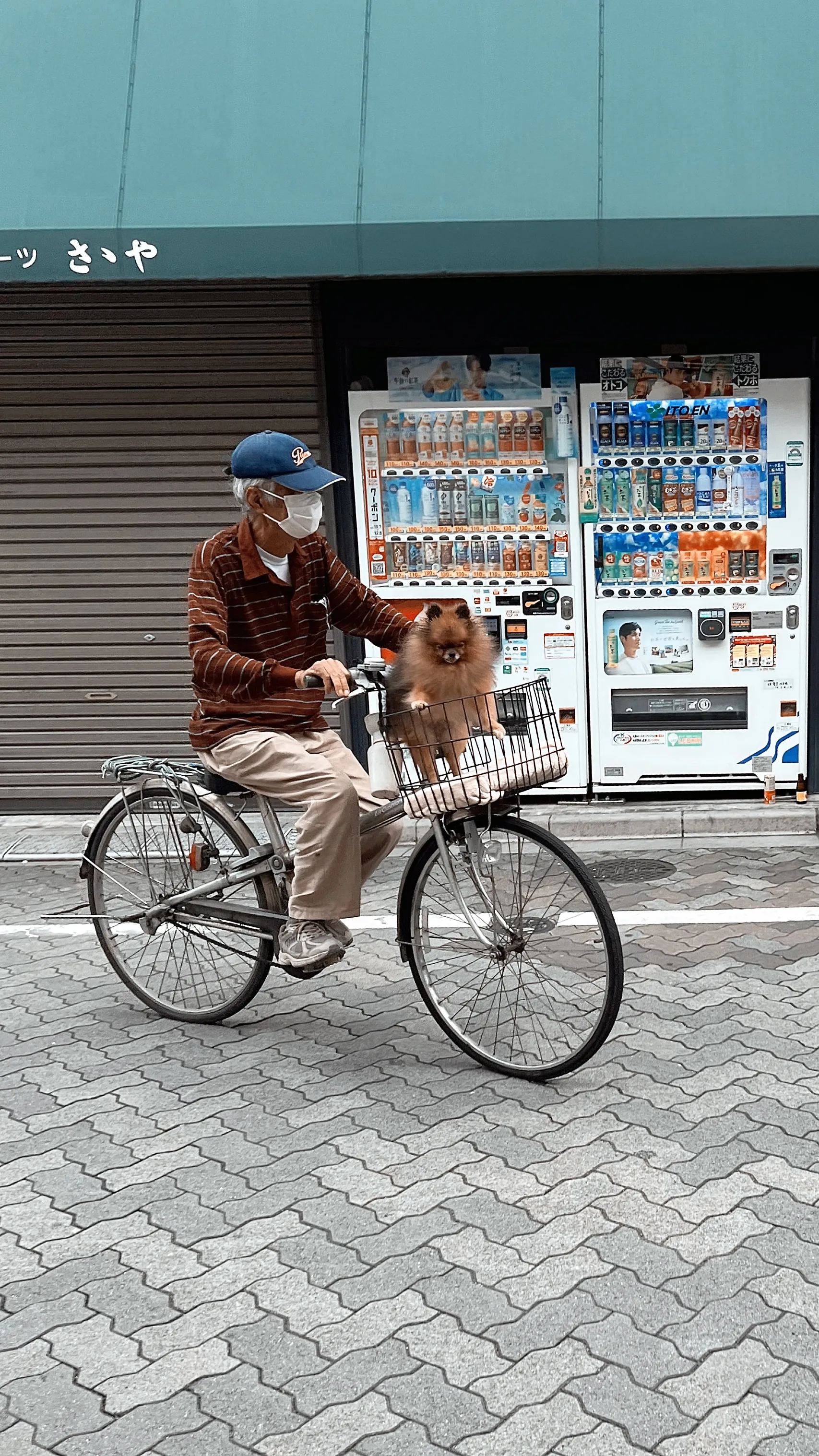 Томодачи (Друзья)