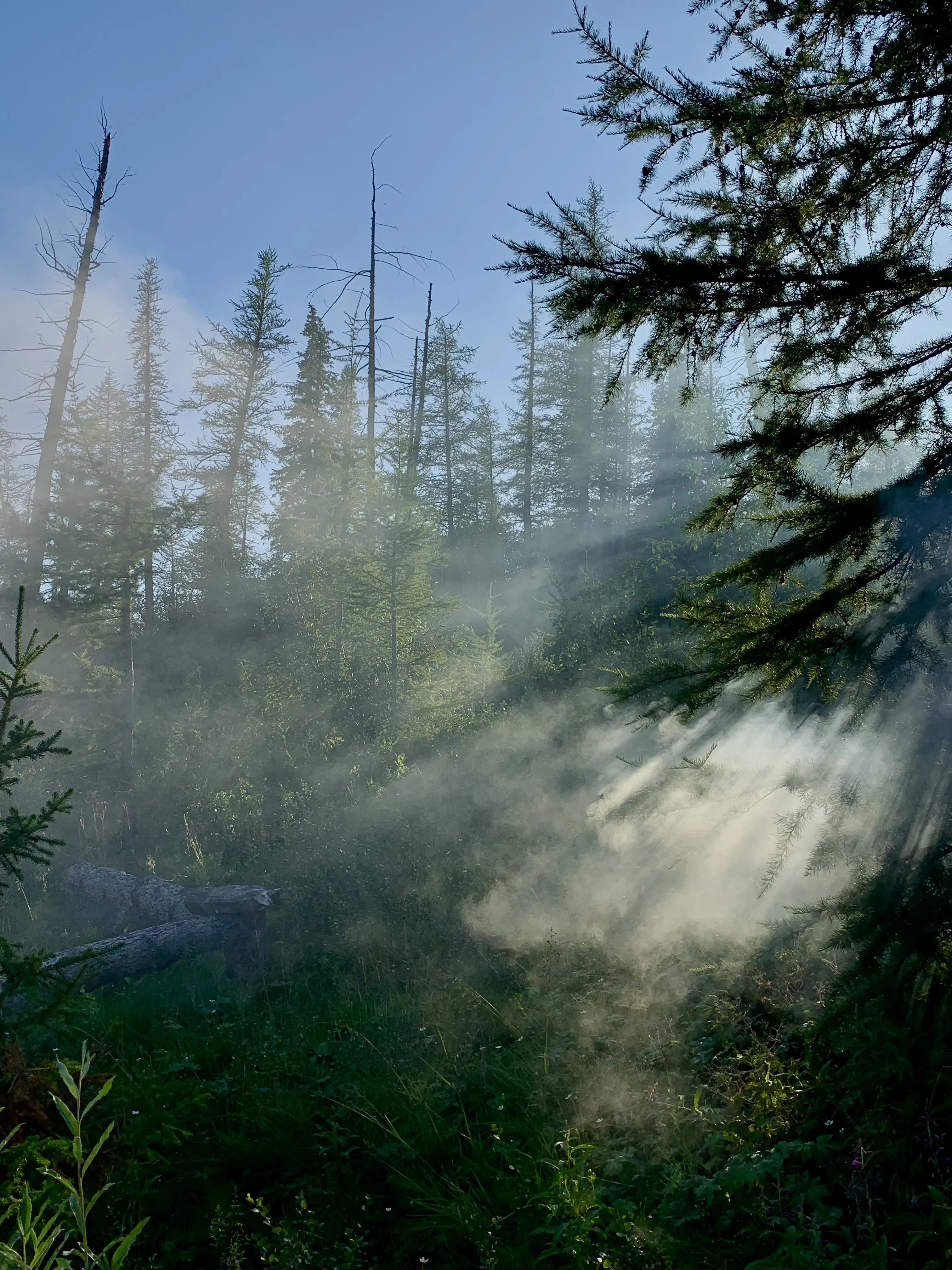 пробуждение