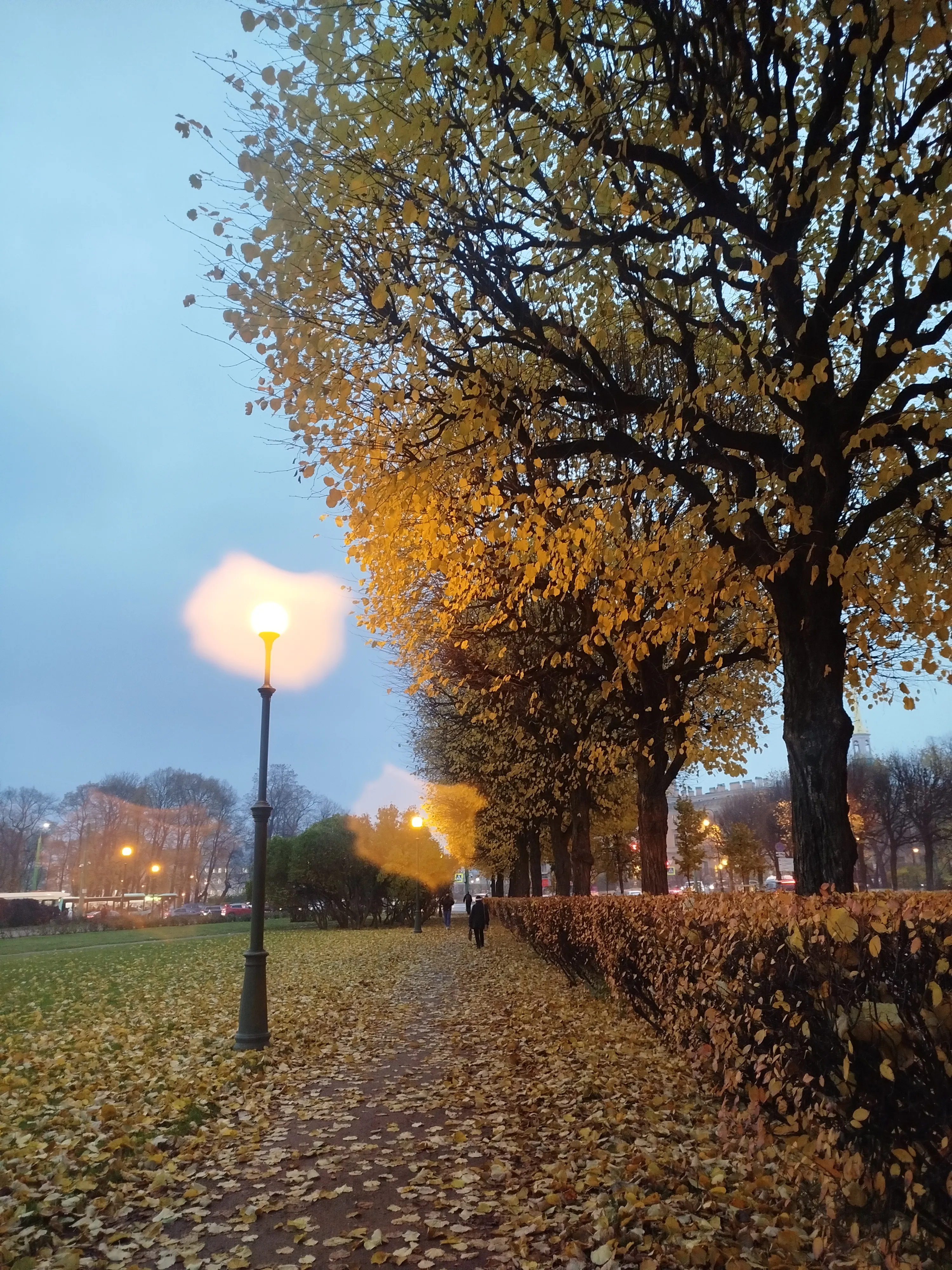 Эффект присутствия. Осень в Петербурге