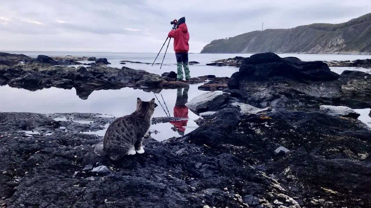 А рыба ли там?