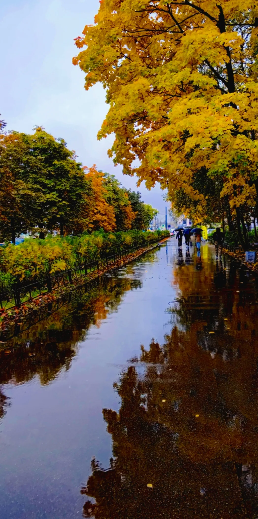 Блестящая осень