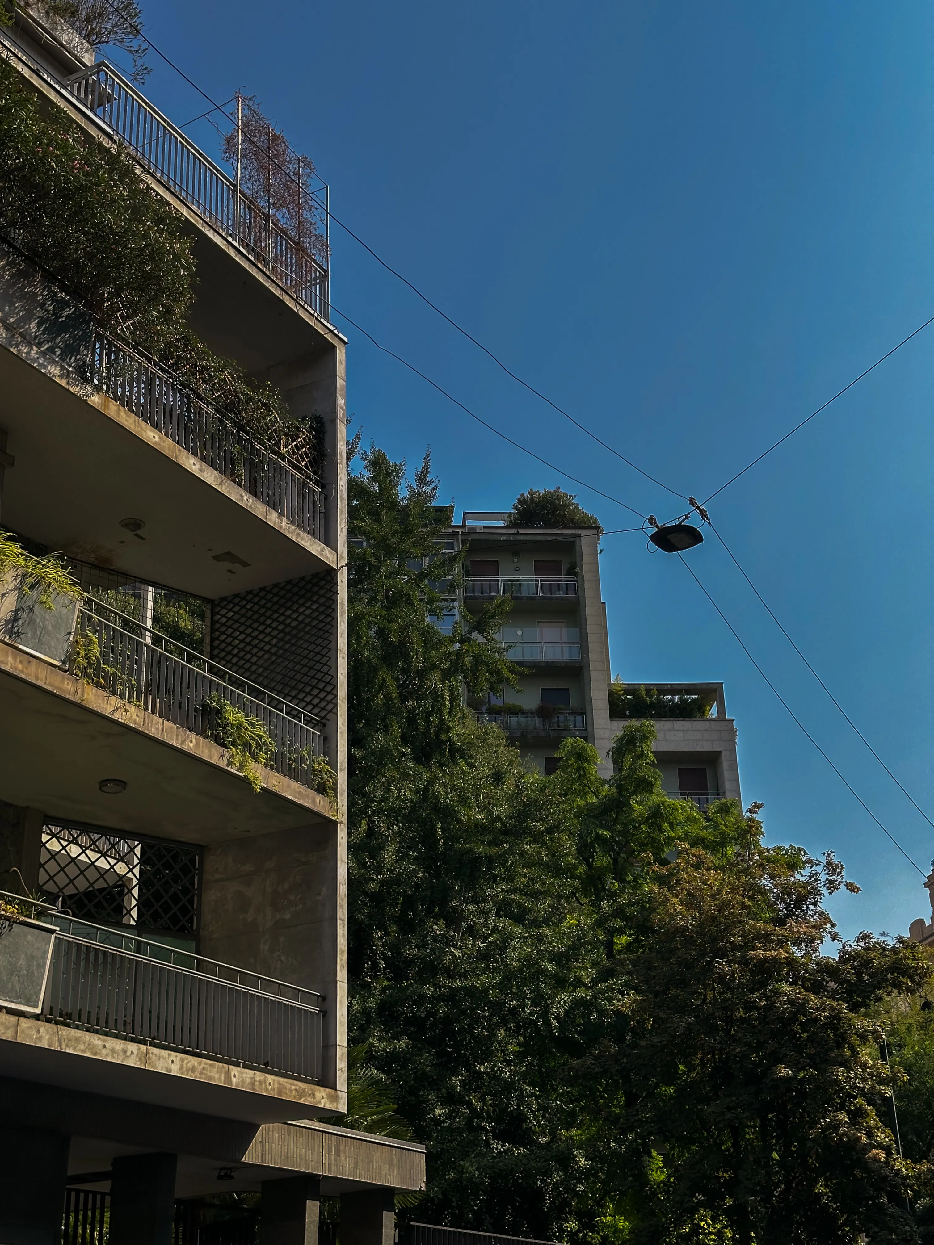 Миланский покой