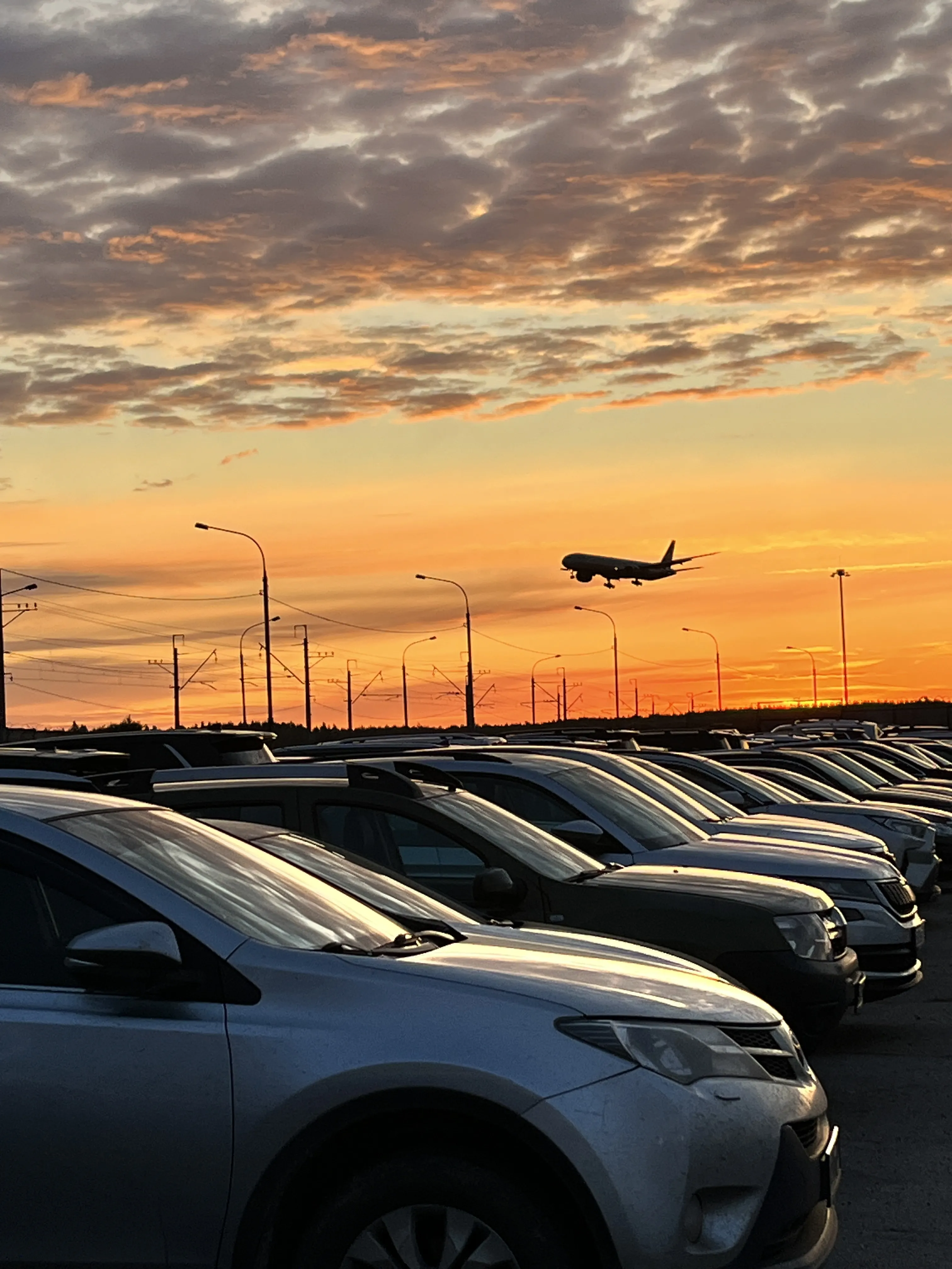 Жизнь в движении