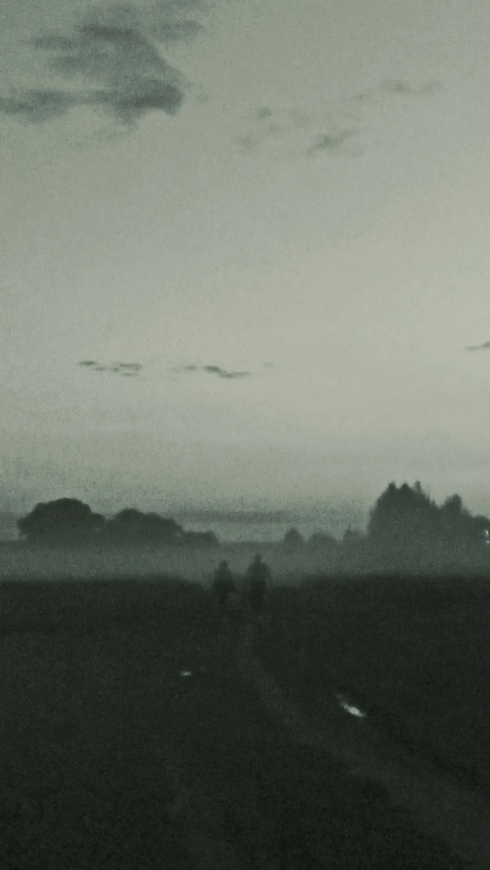 Вечерняя прогулка