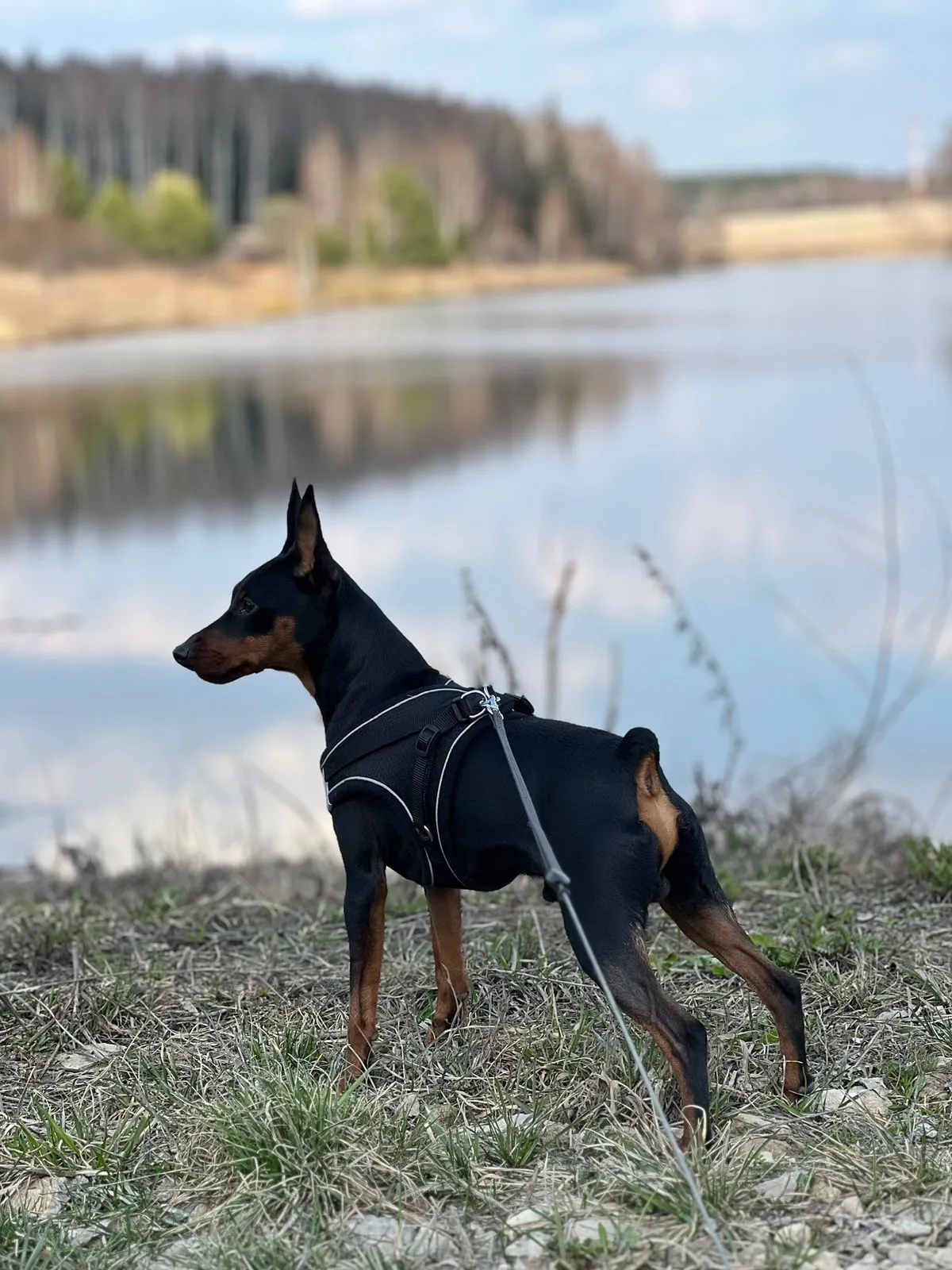 «Дневной дозор»