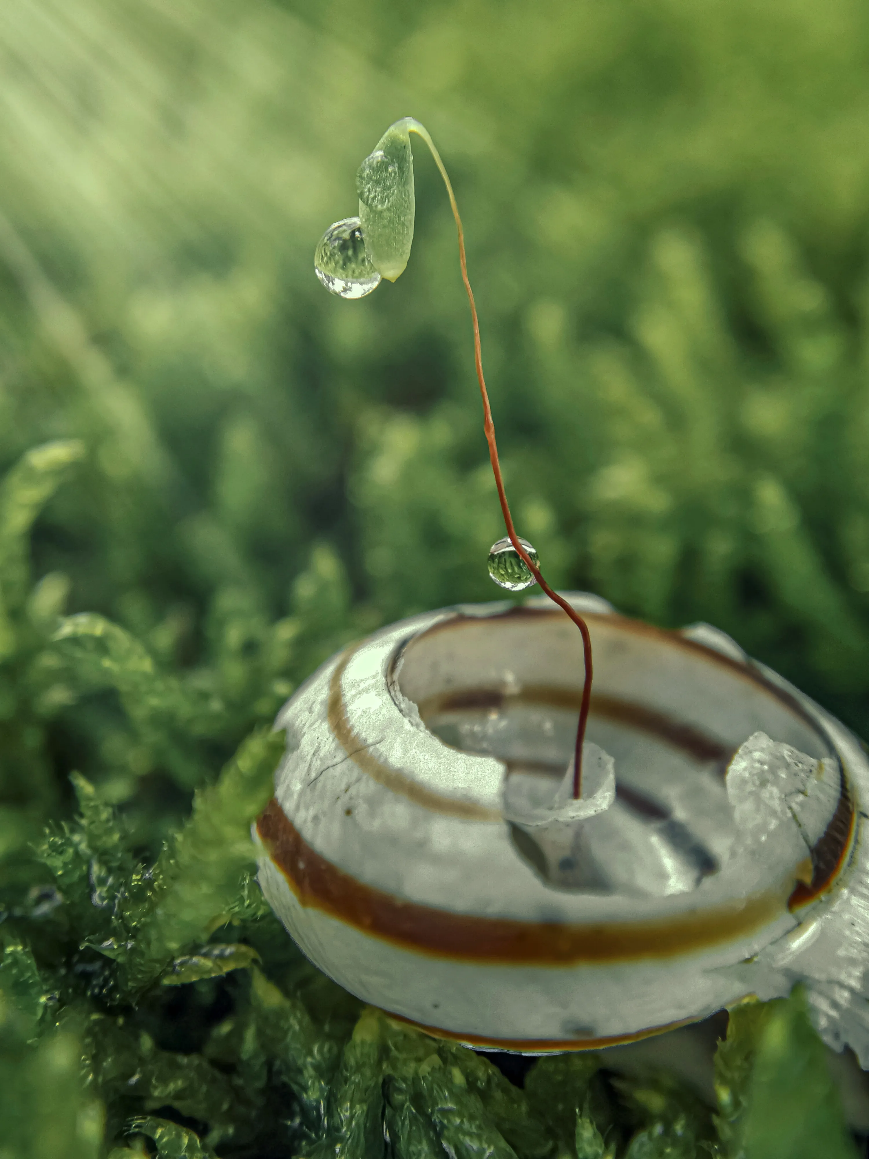 Желание:"Жить!"