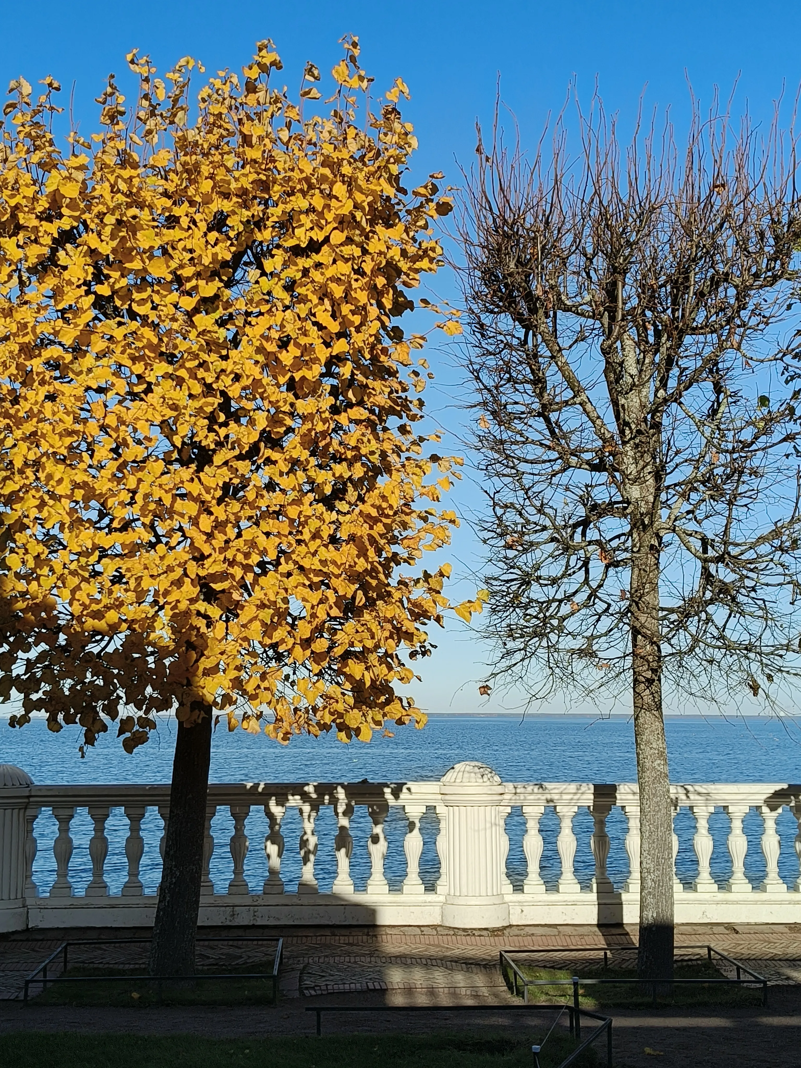 Одинаковые, но такие разные.