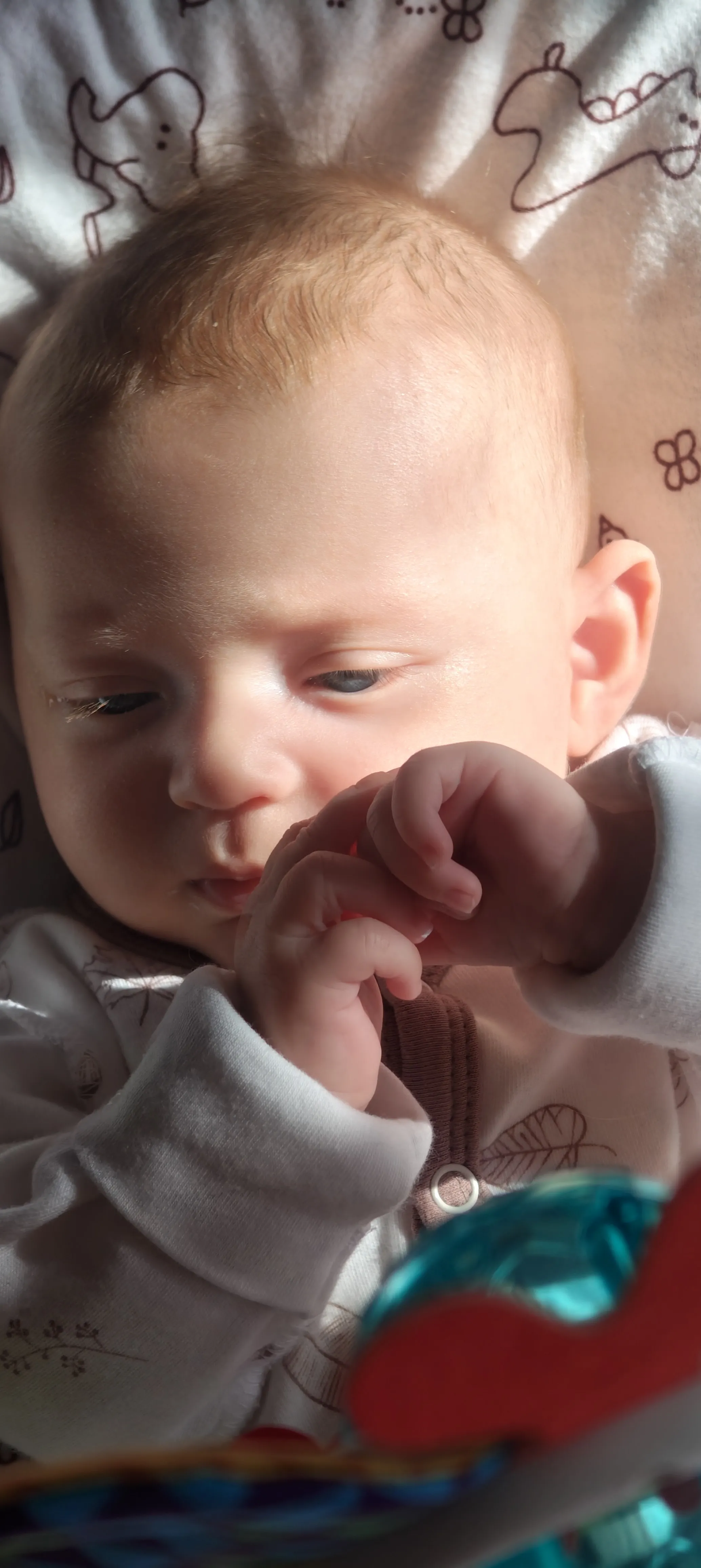 Все только начинается