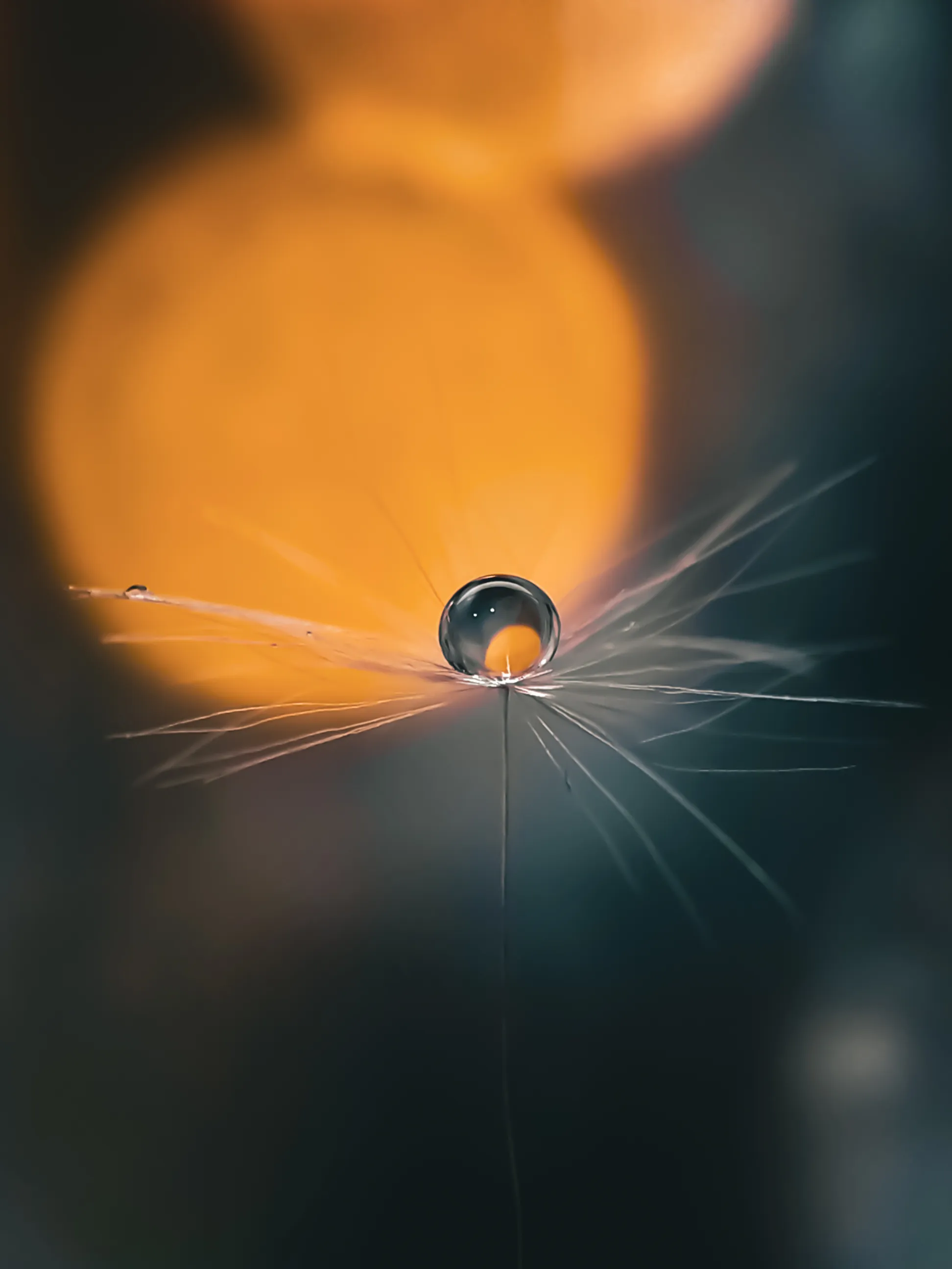 Хранитель заката