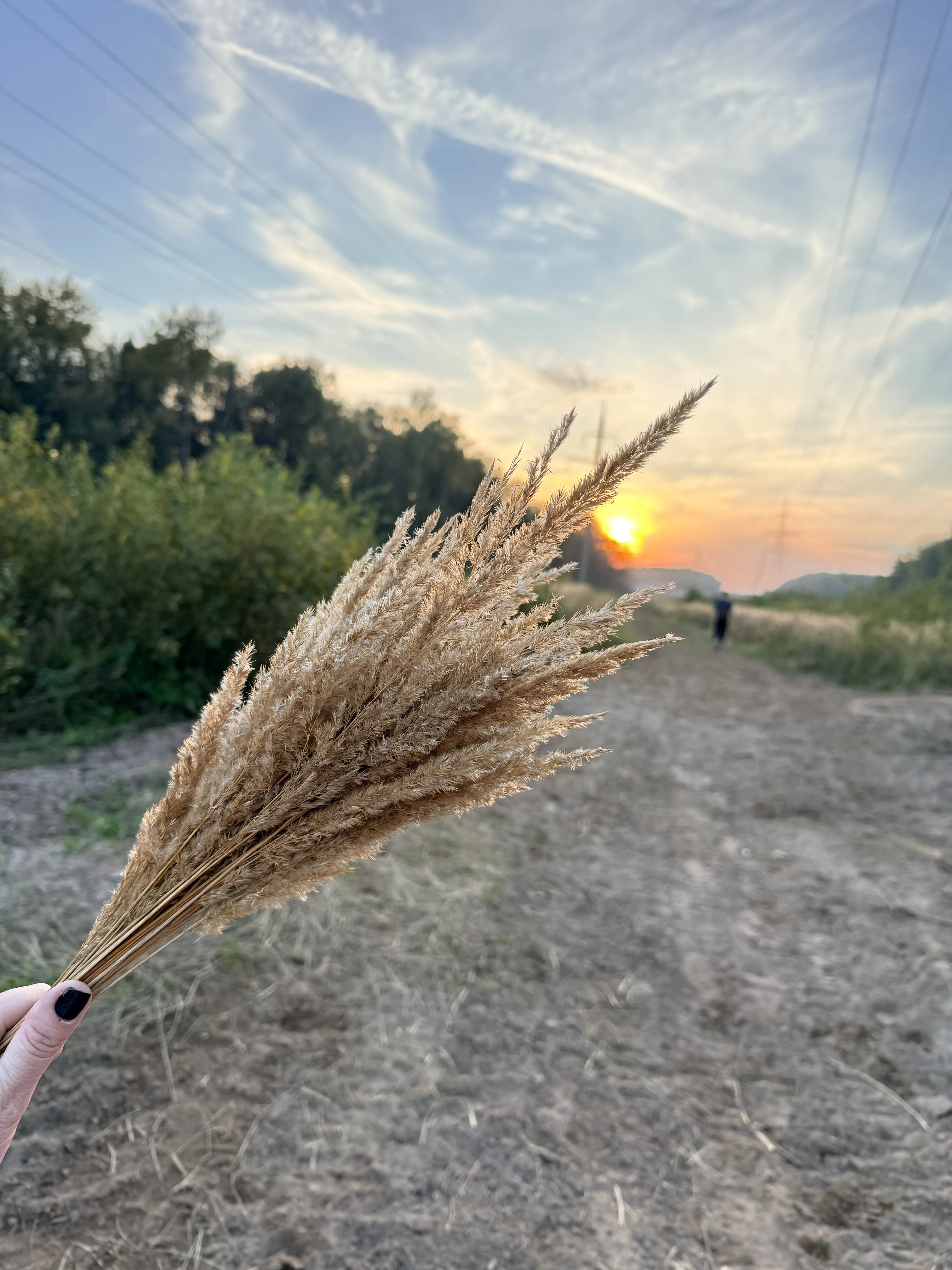 Последний день лета