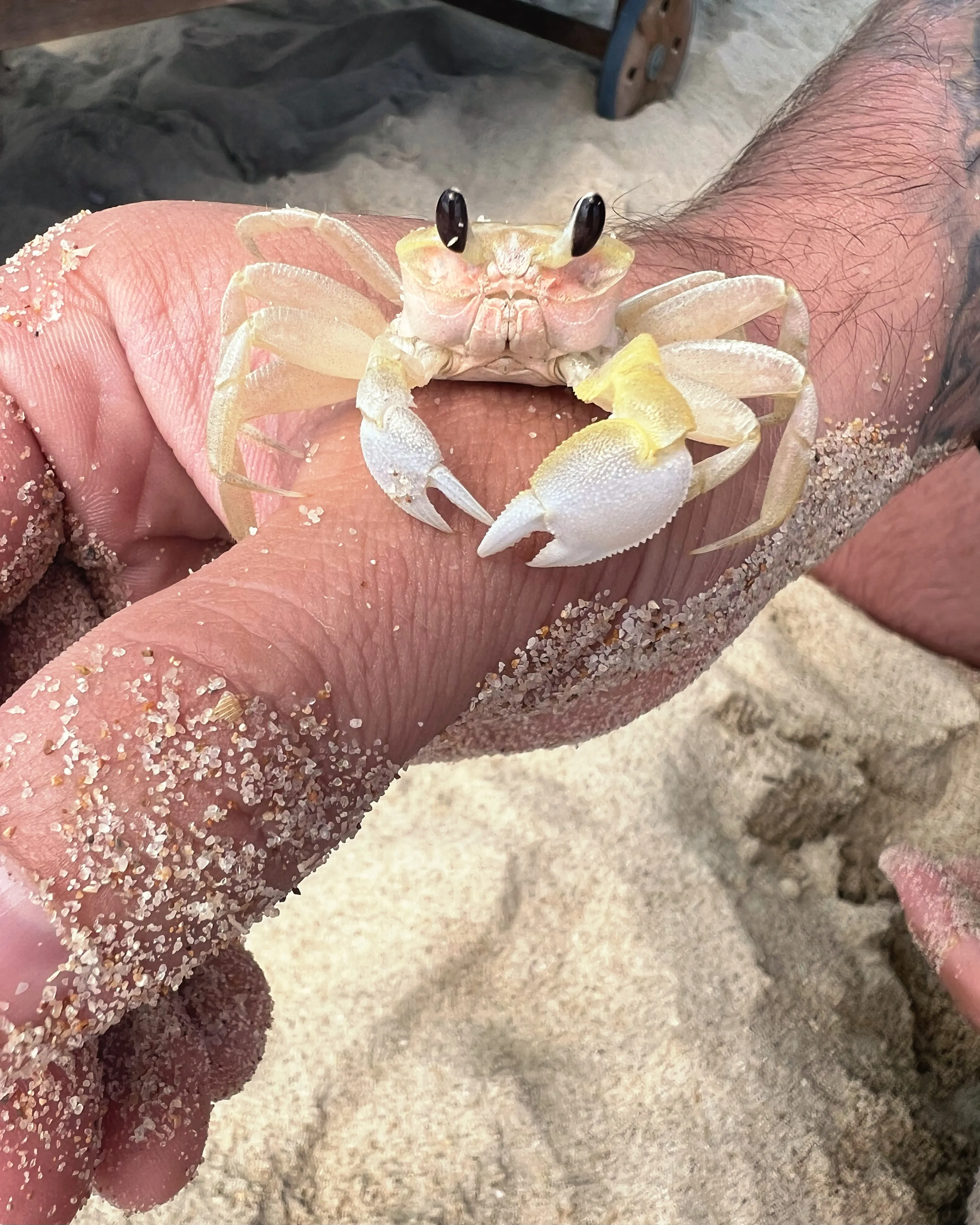 У страха глаза велики