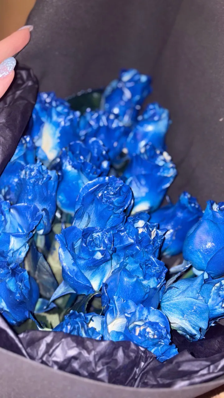 Моменты телефона