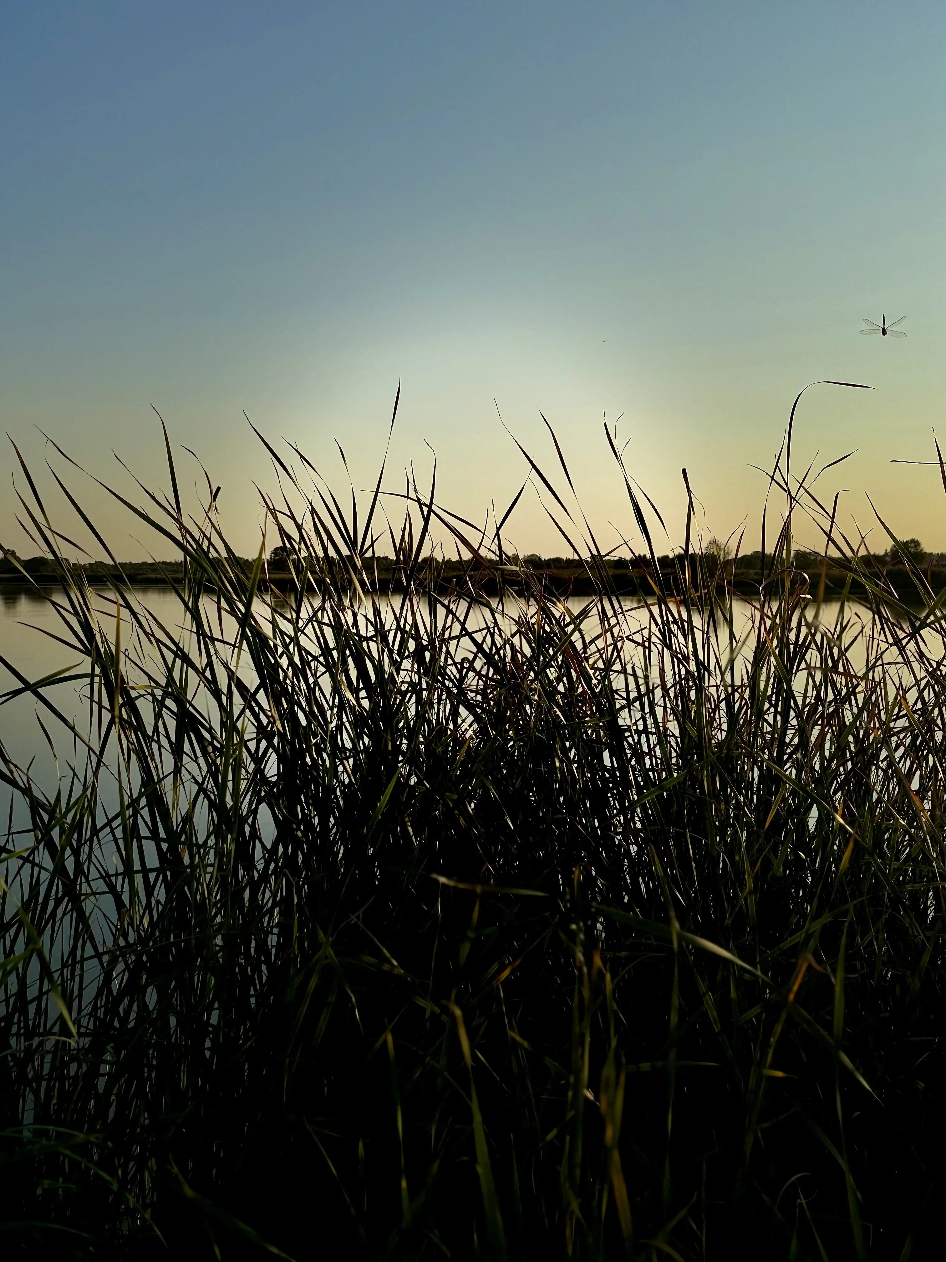 Утро на рыбалке