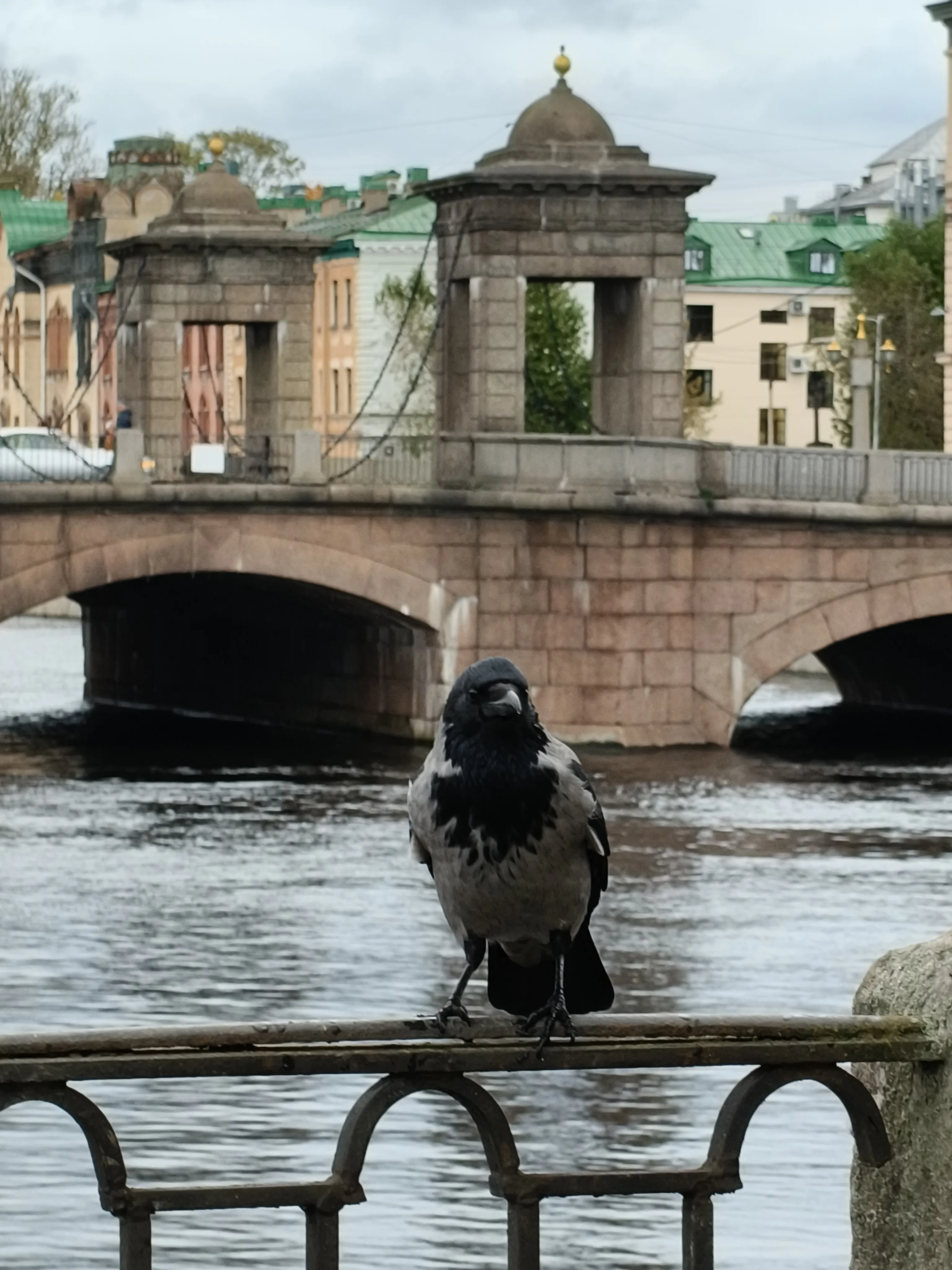 Минутная передышка