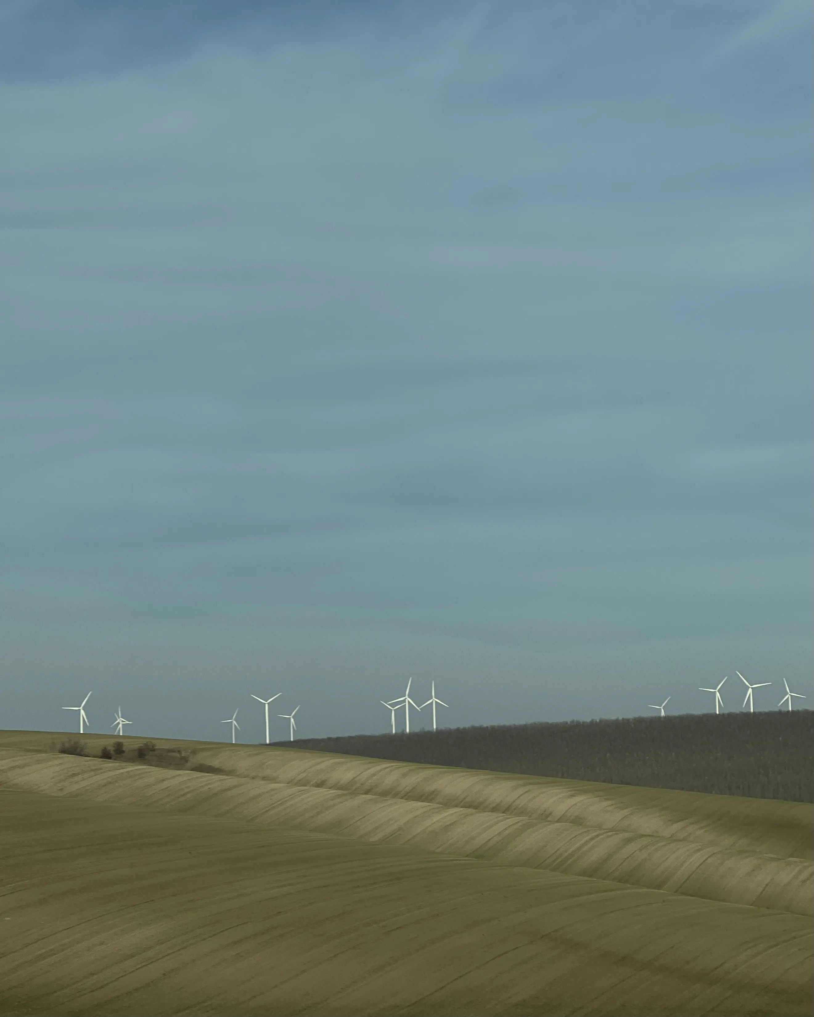 Вид из окна автомобиля