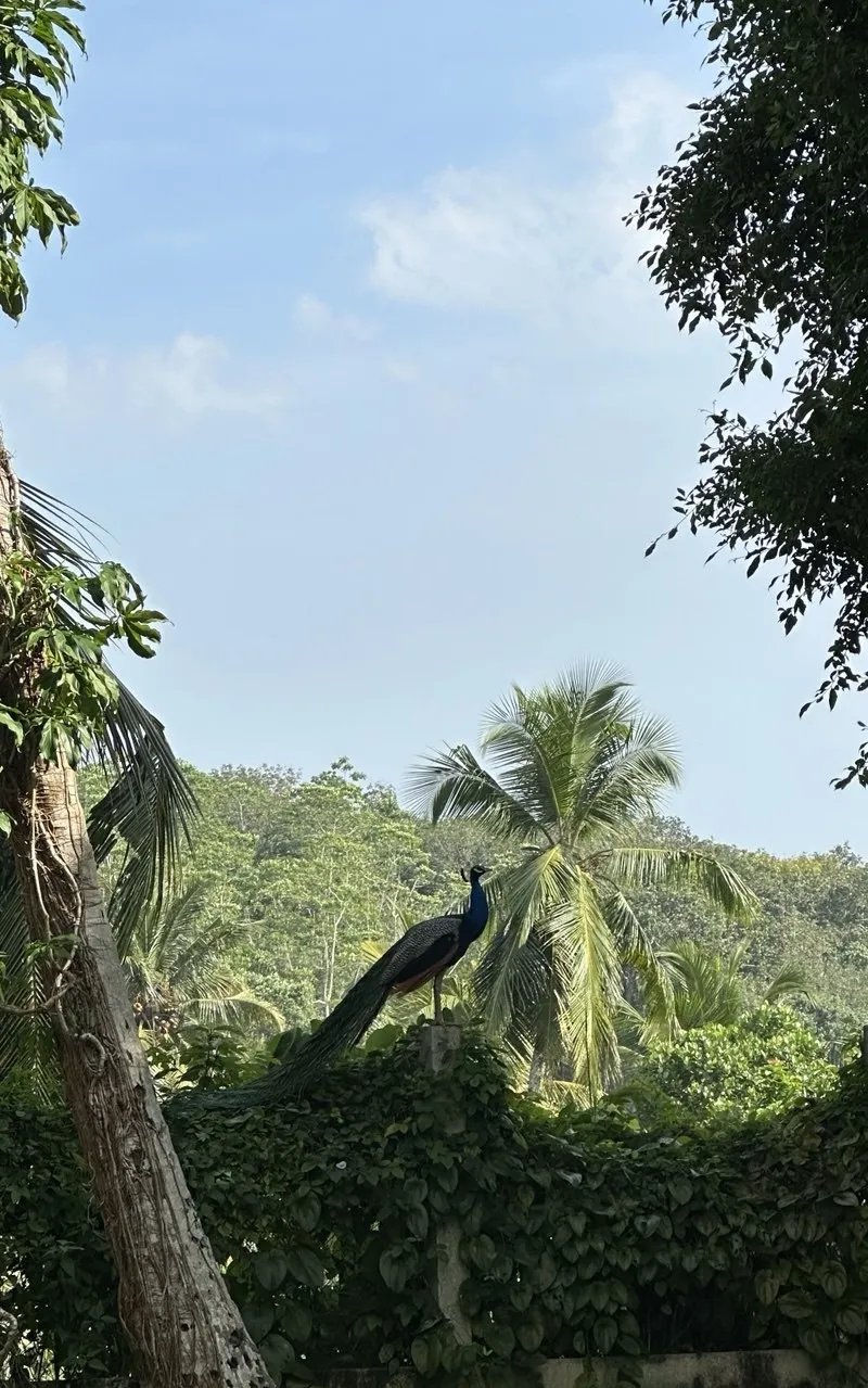 Жизнь в моменте