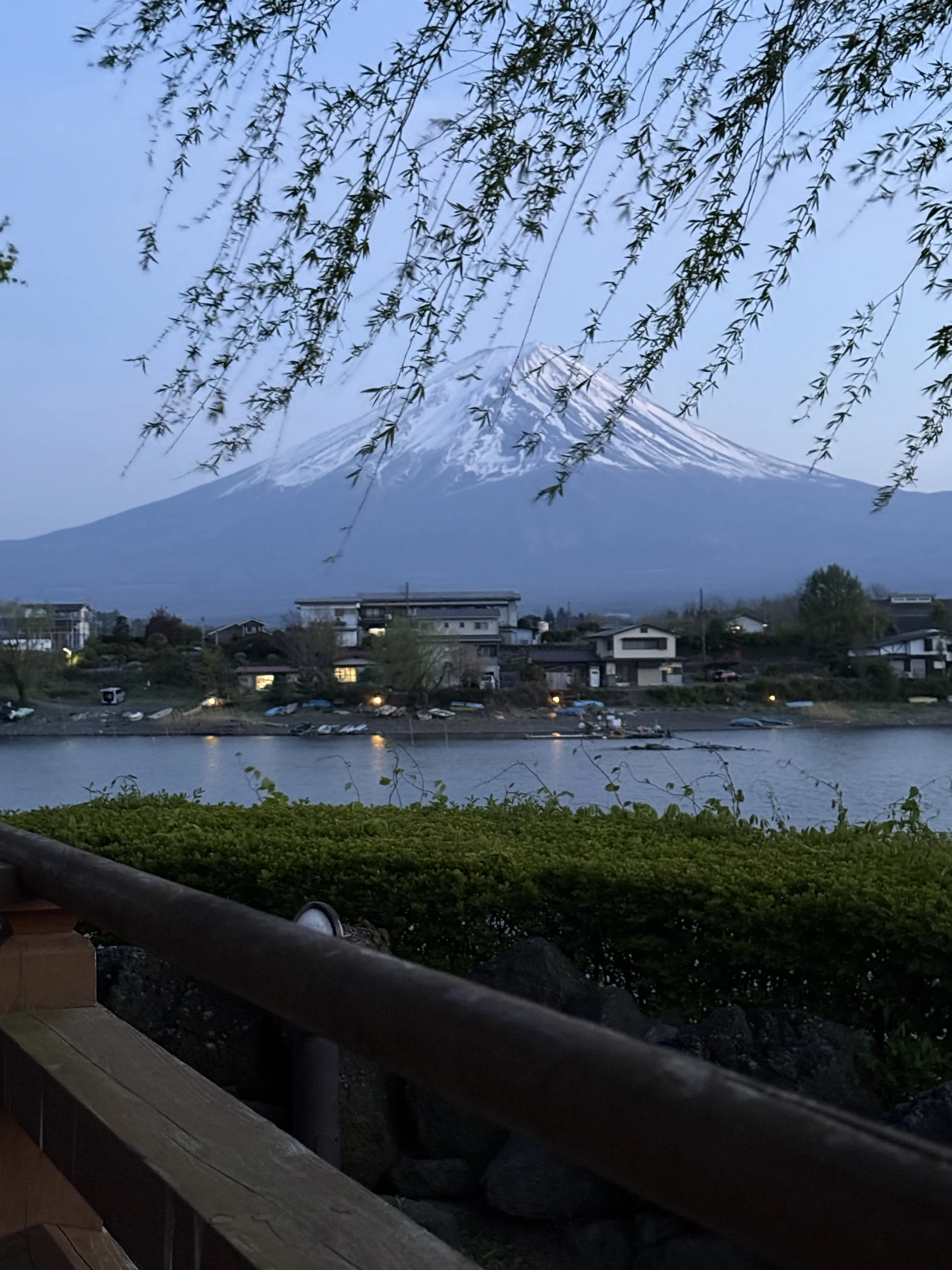 Умиротворение Фудзи