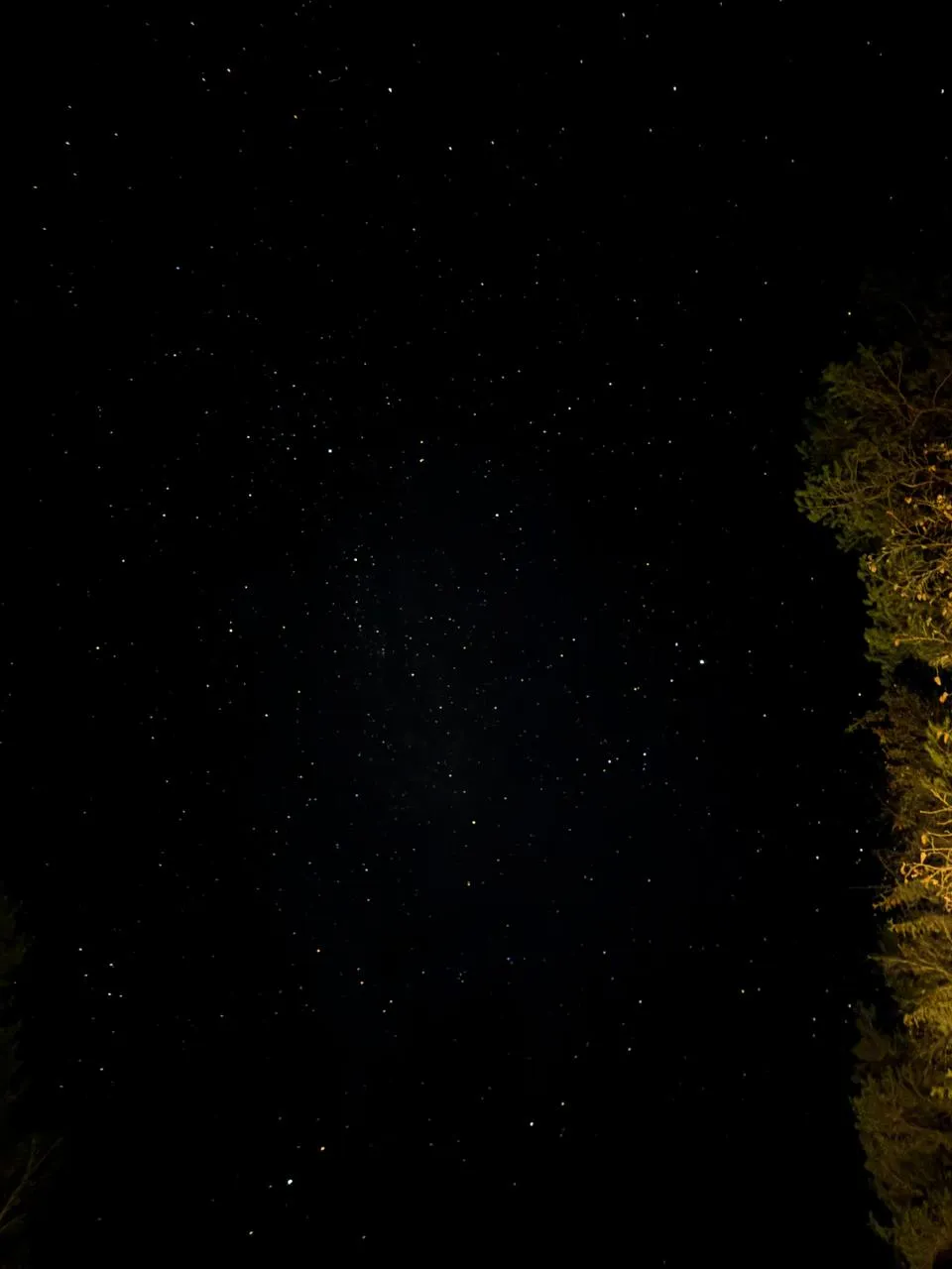 Присутствие в вечности