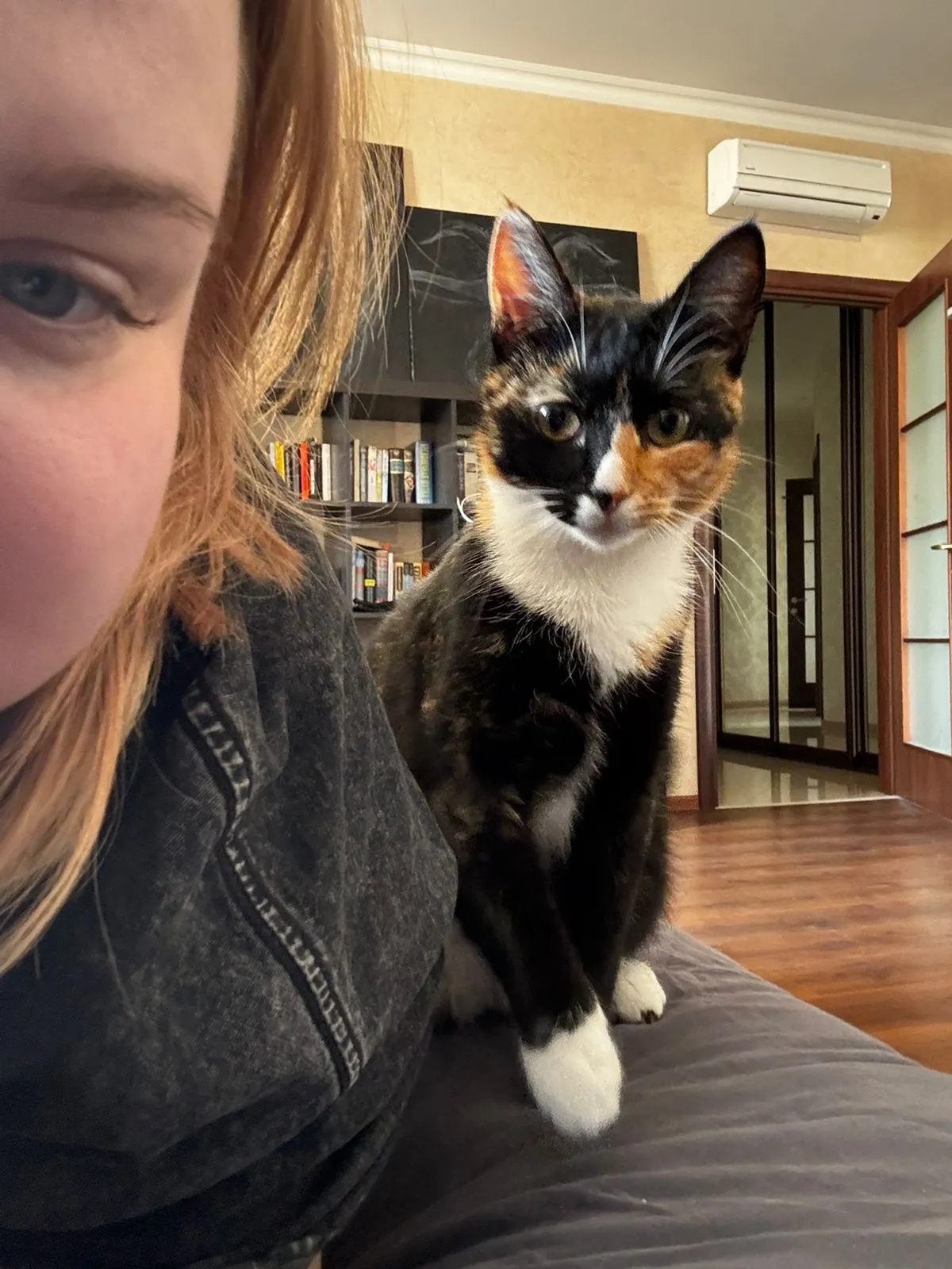 доченька и кошка