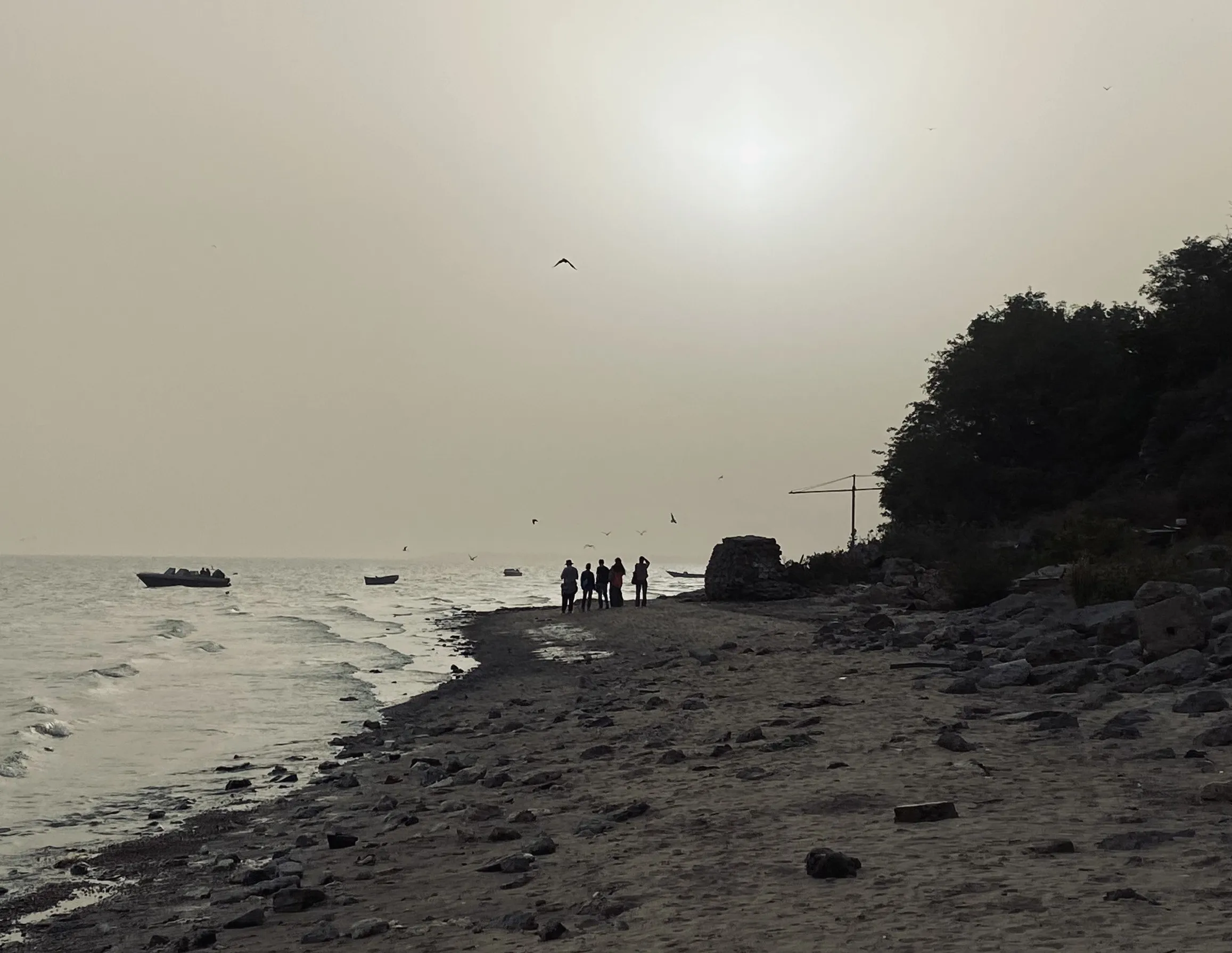 звезда по имени солнце