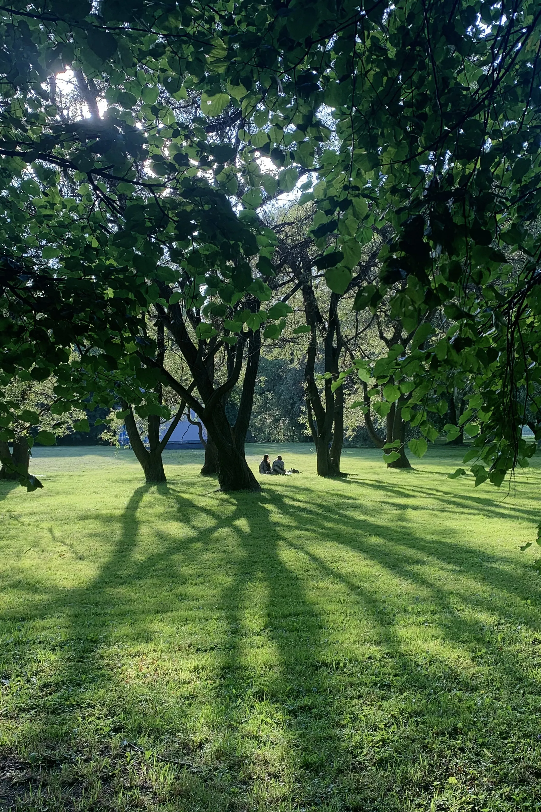 Останься здесь.