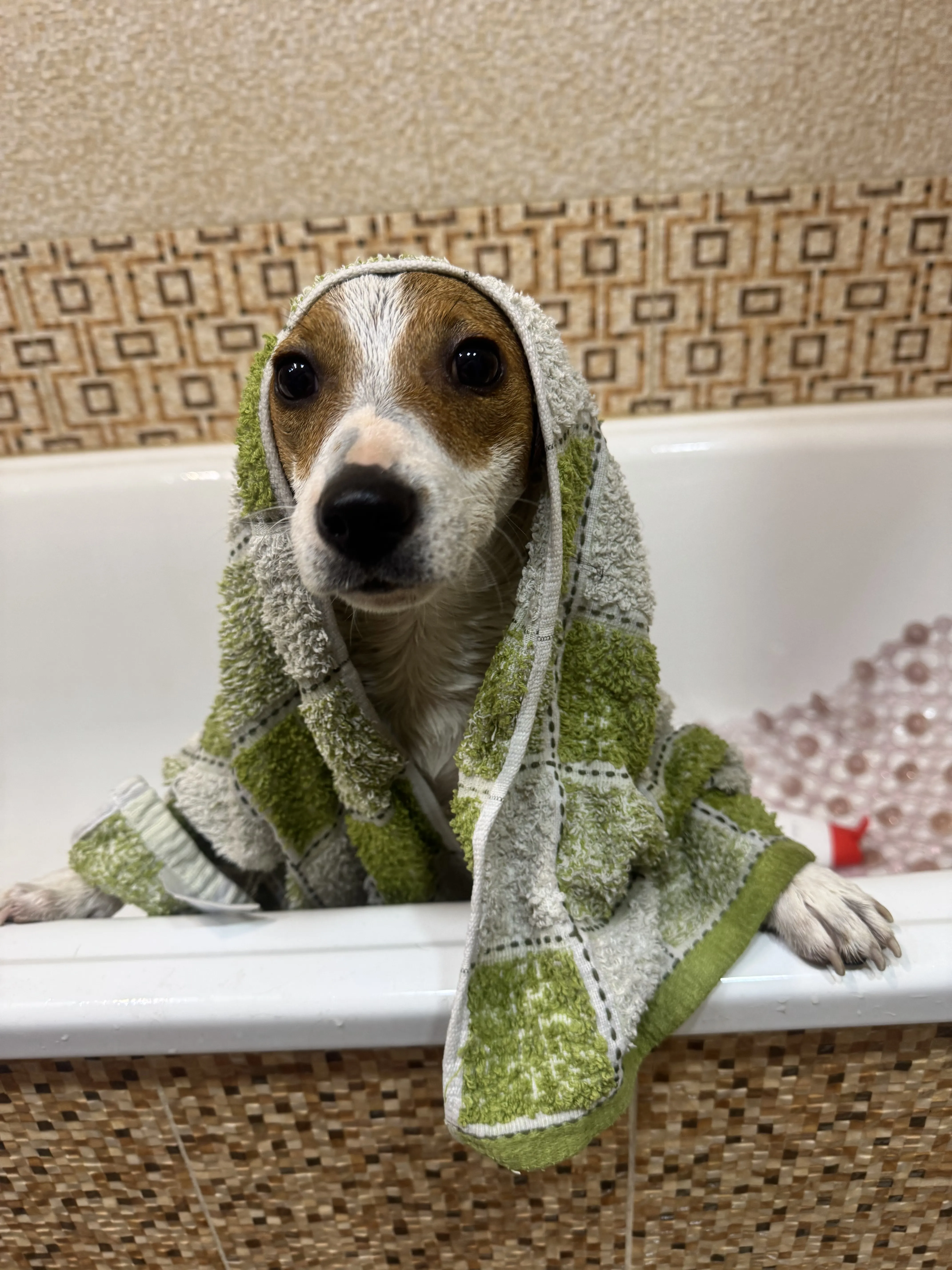 Купание малышки