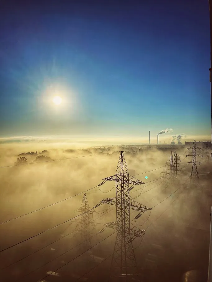 Дерево и светильник