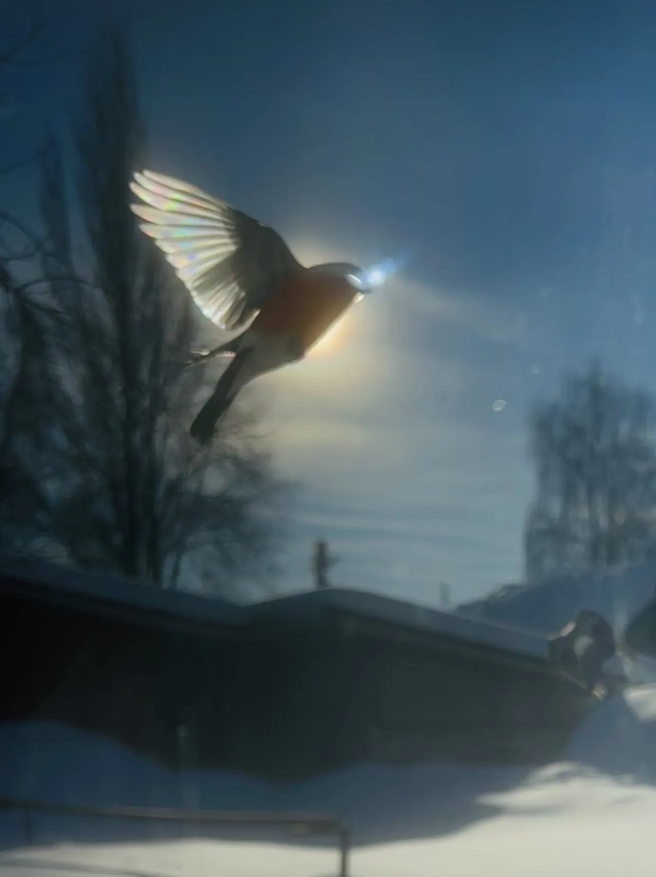 Счастье замри