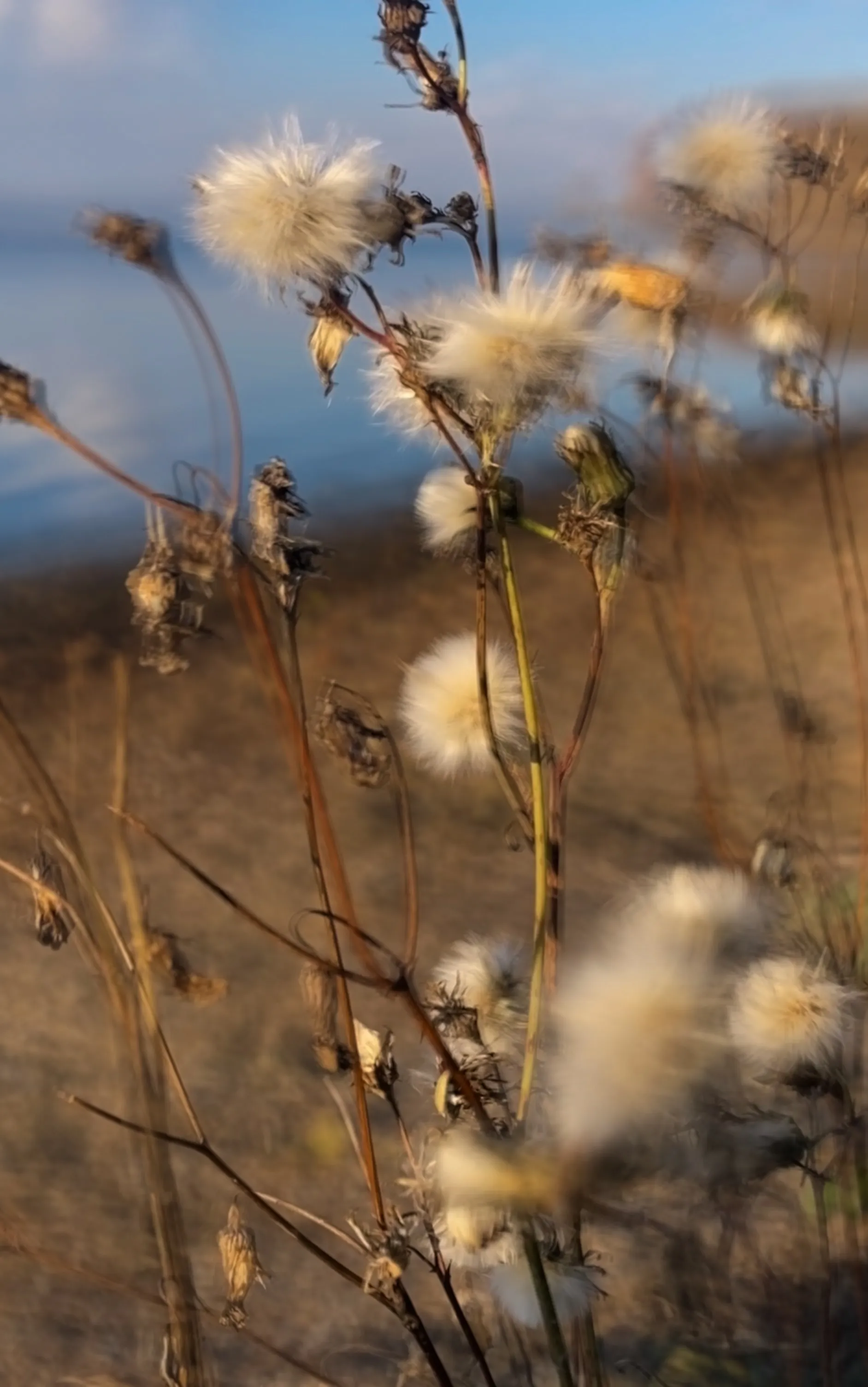 Садгород. Осень.