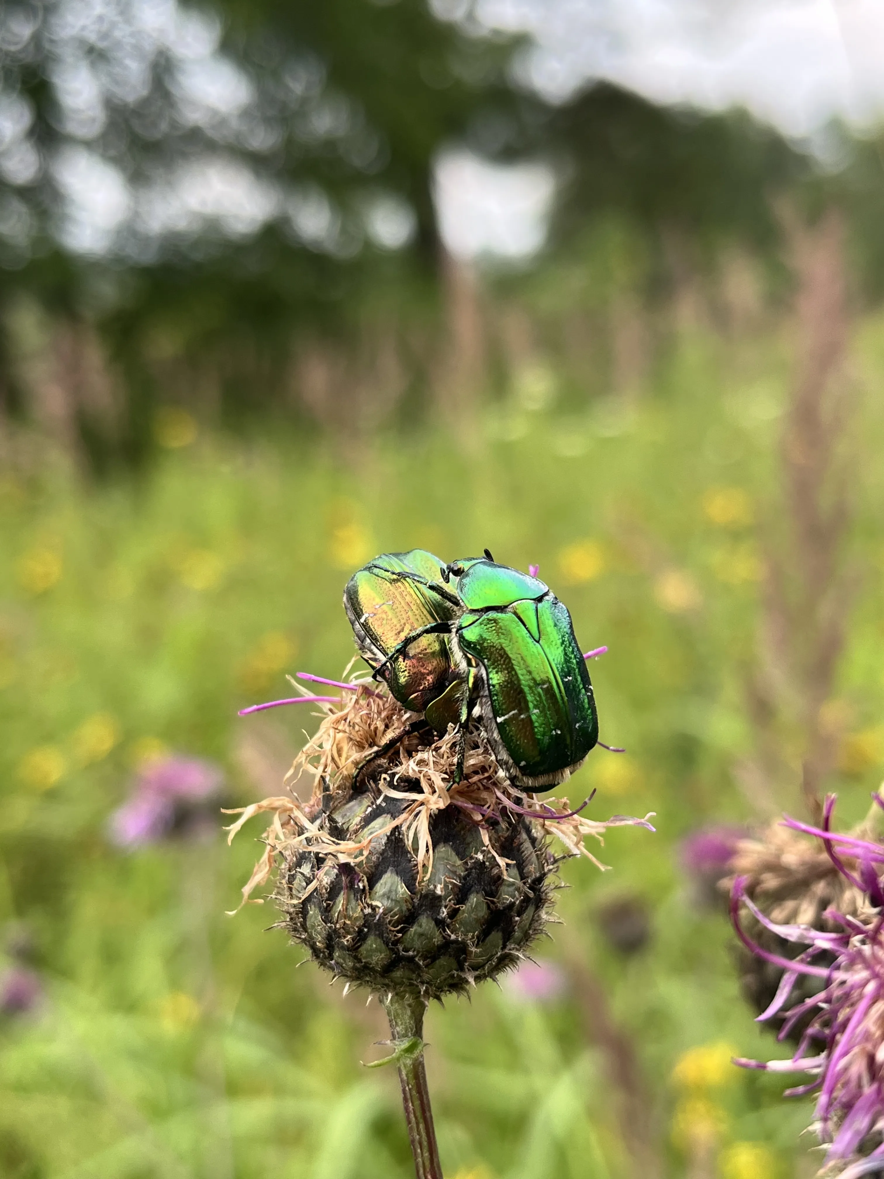 Любовь в моменте