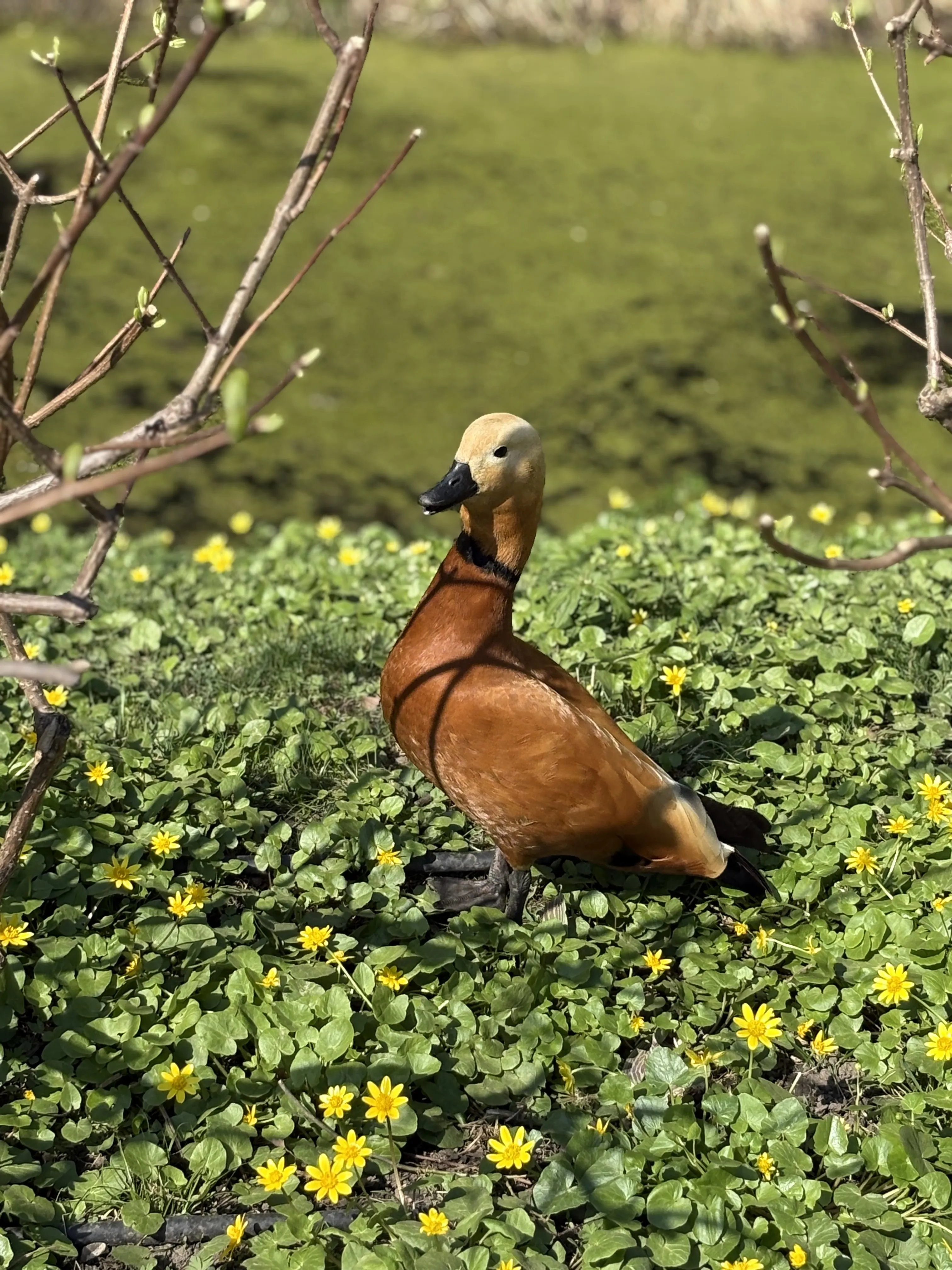 Даже улетать не хочется