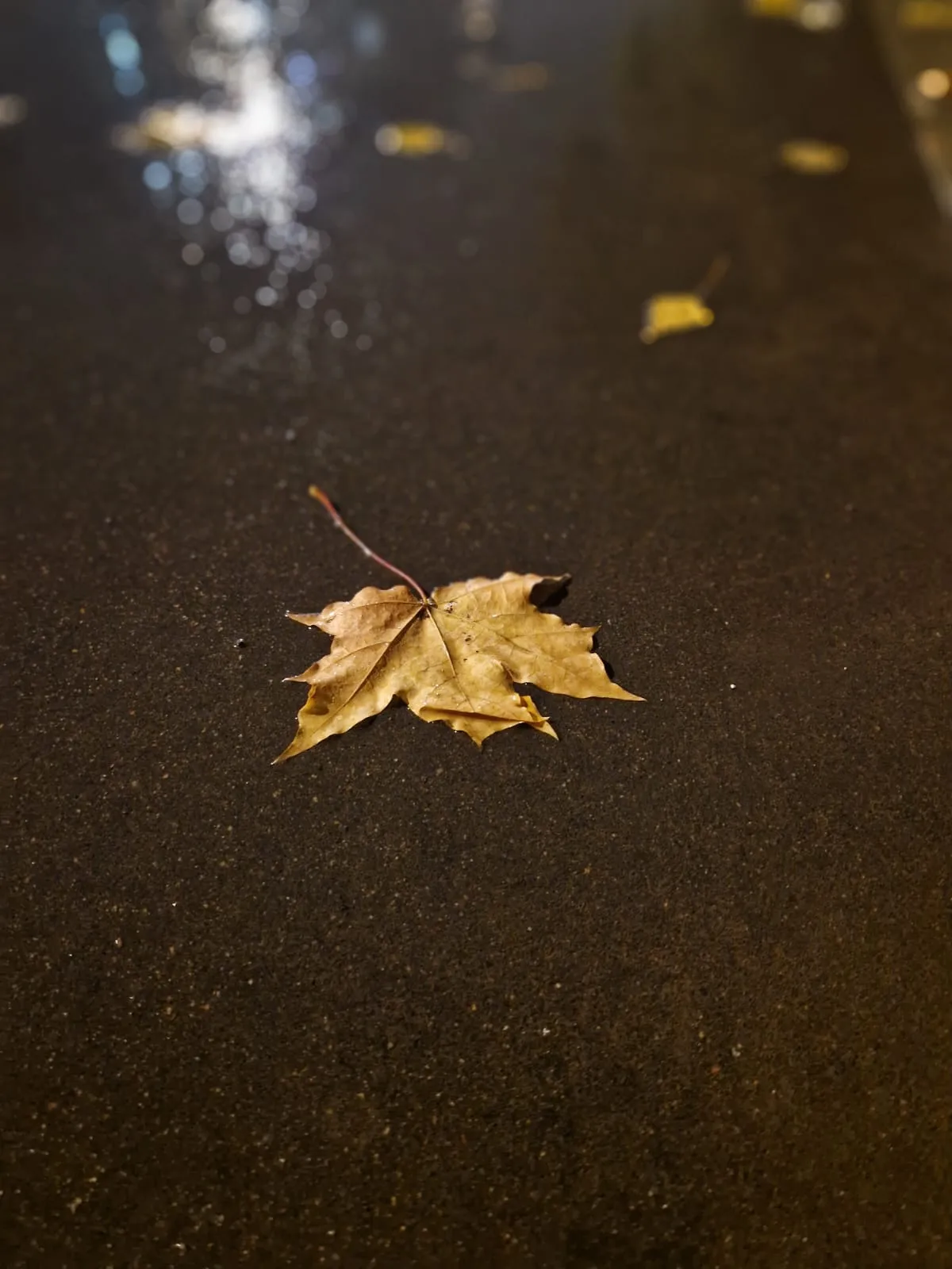 После дождя