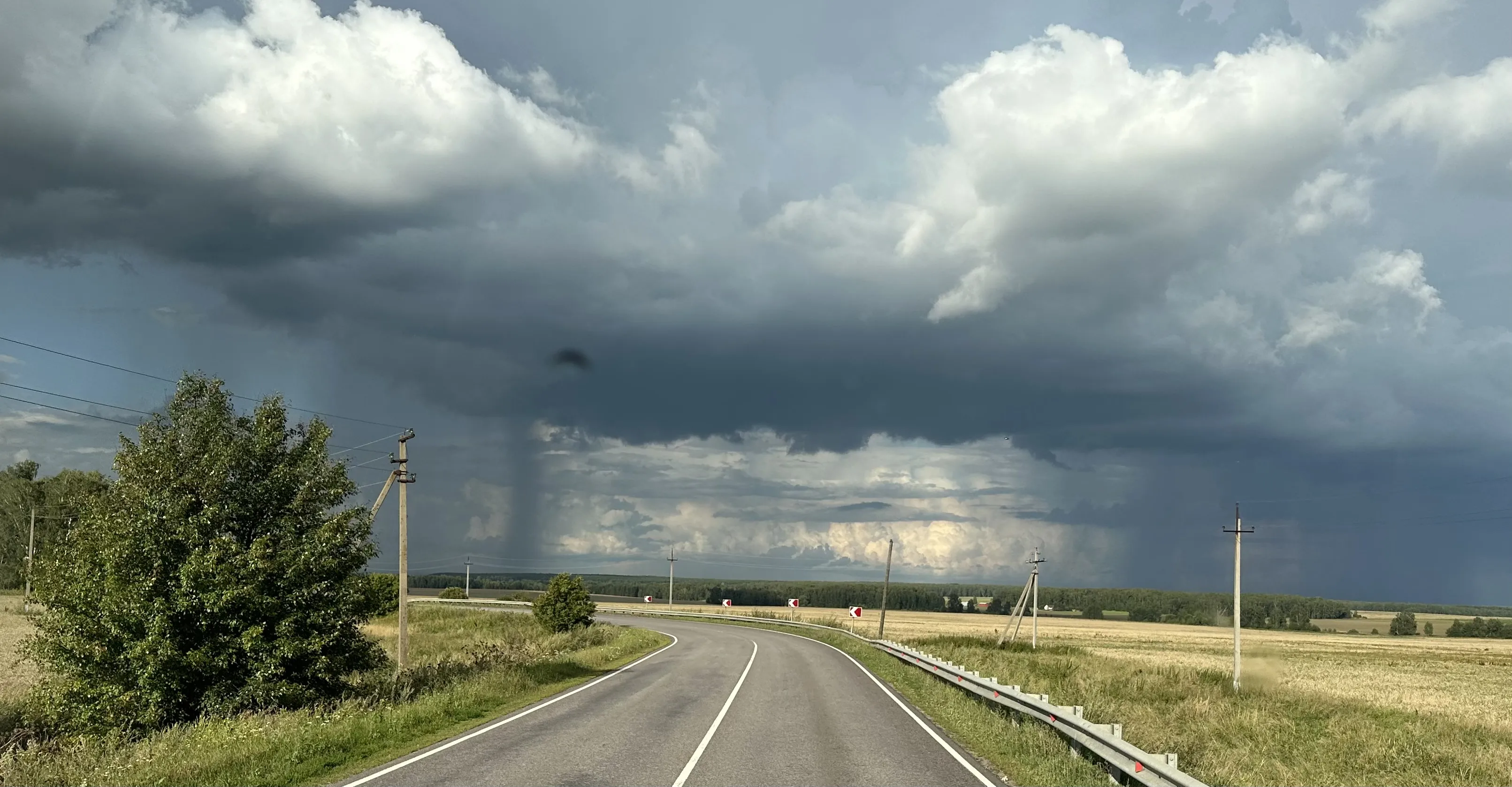 Ворота дождя