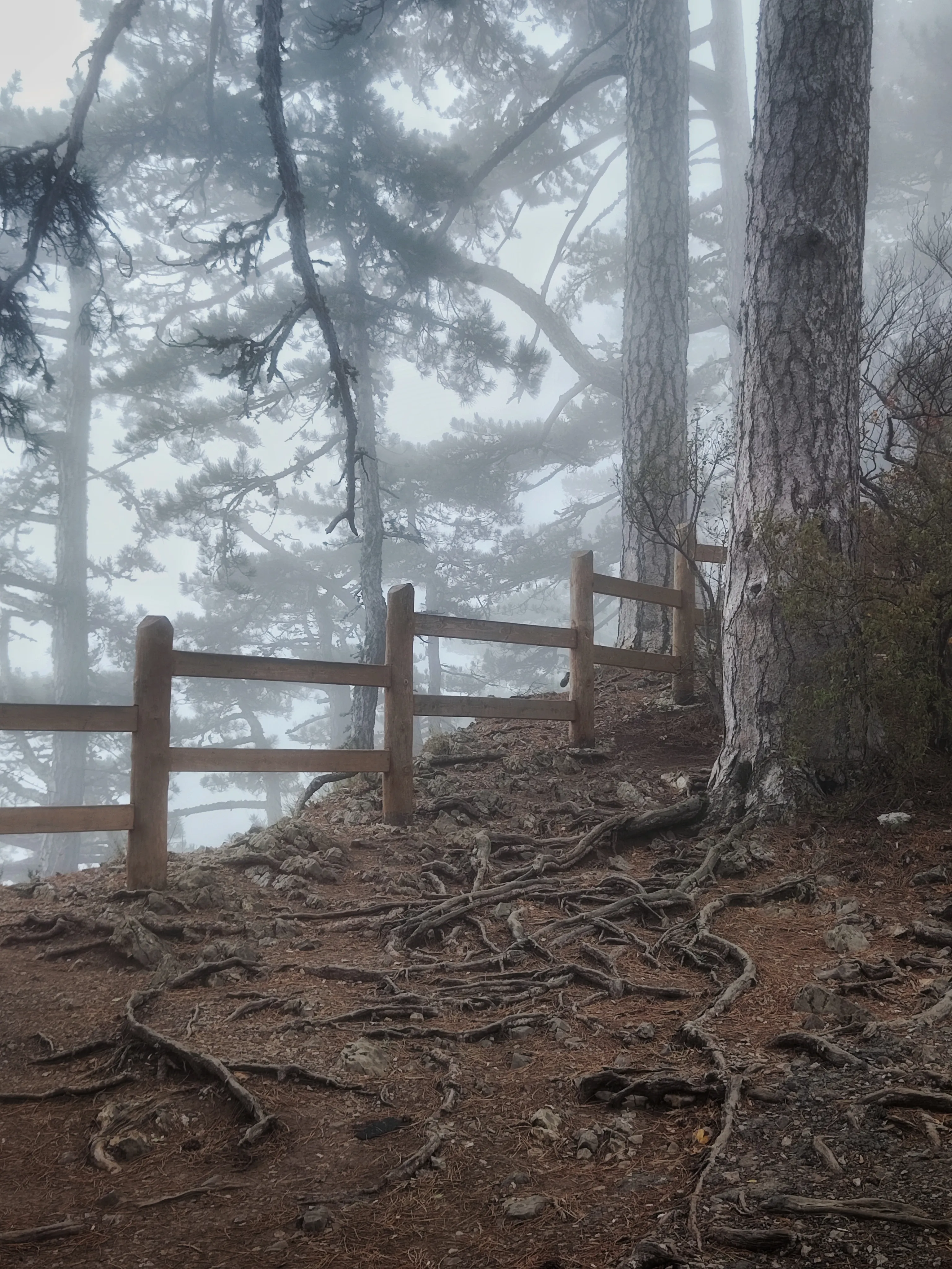 Туман по дороге на Ай-Петри