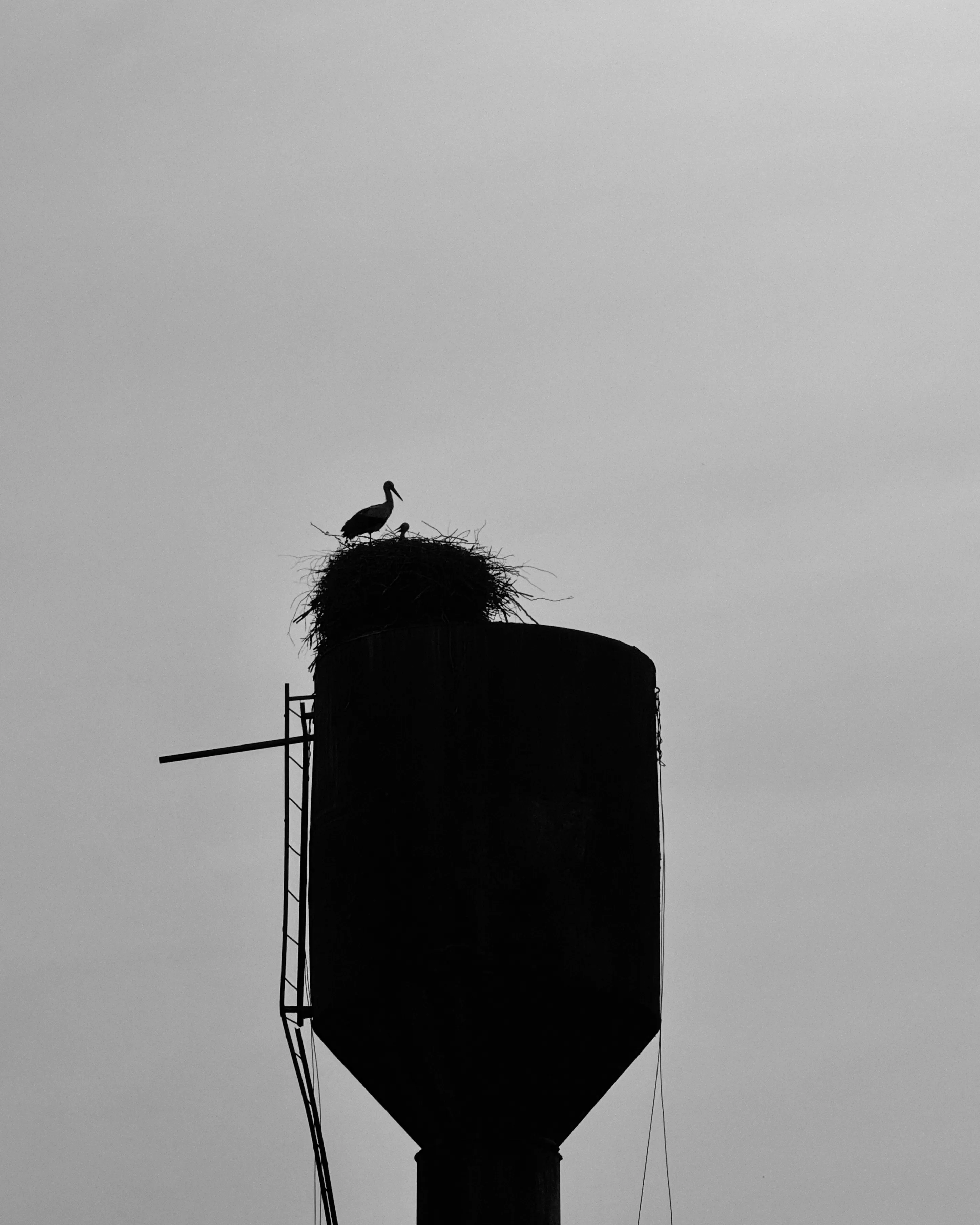 Над серой землей