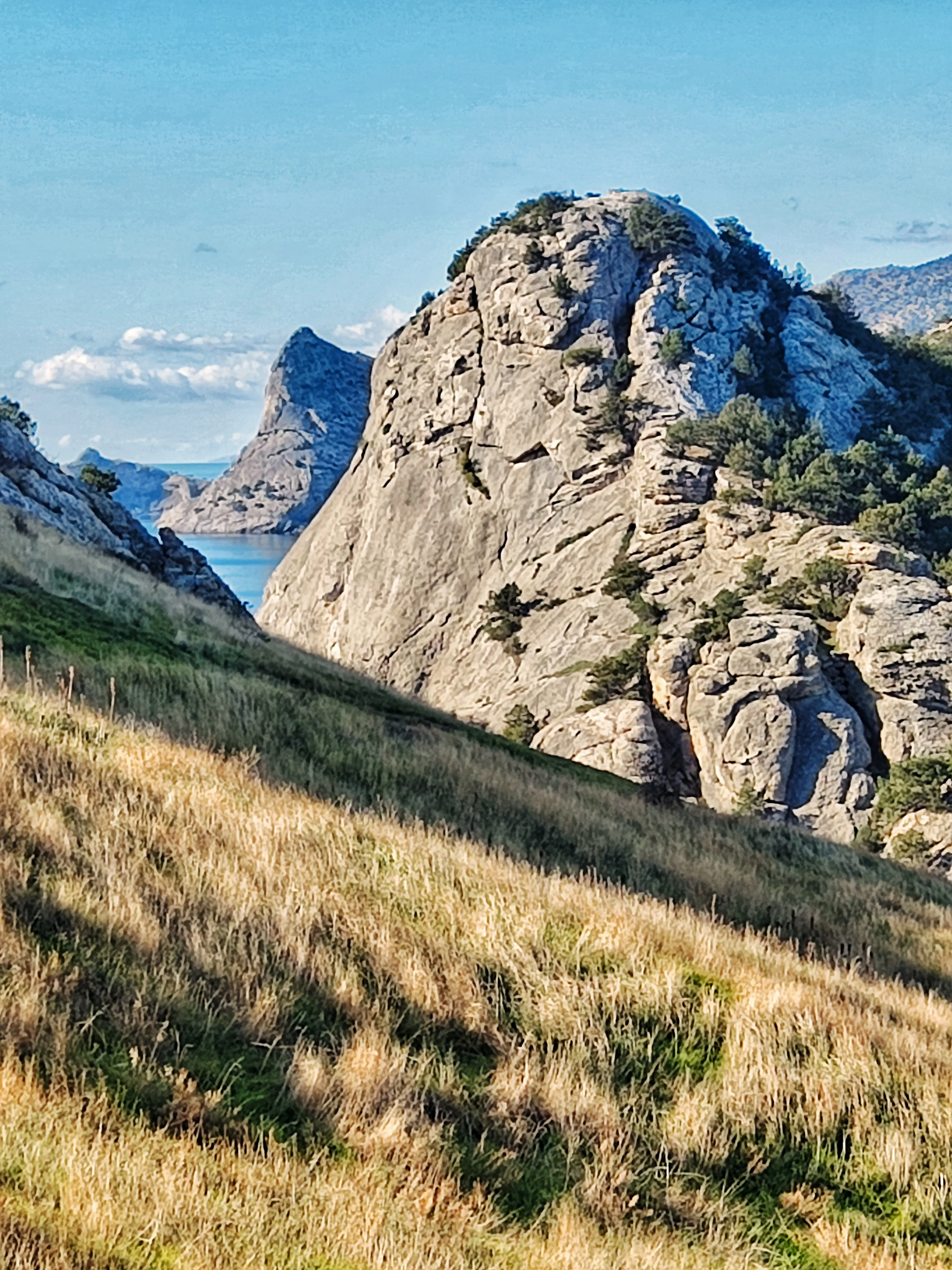 Перспектива