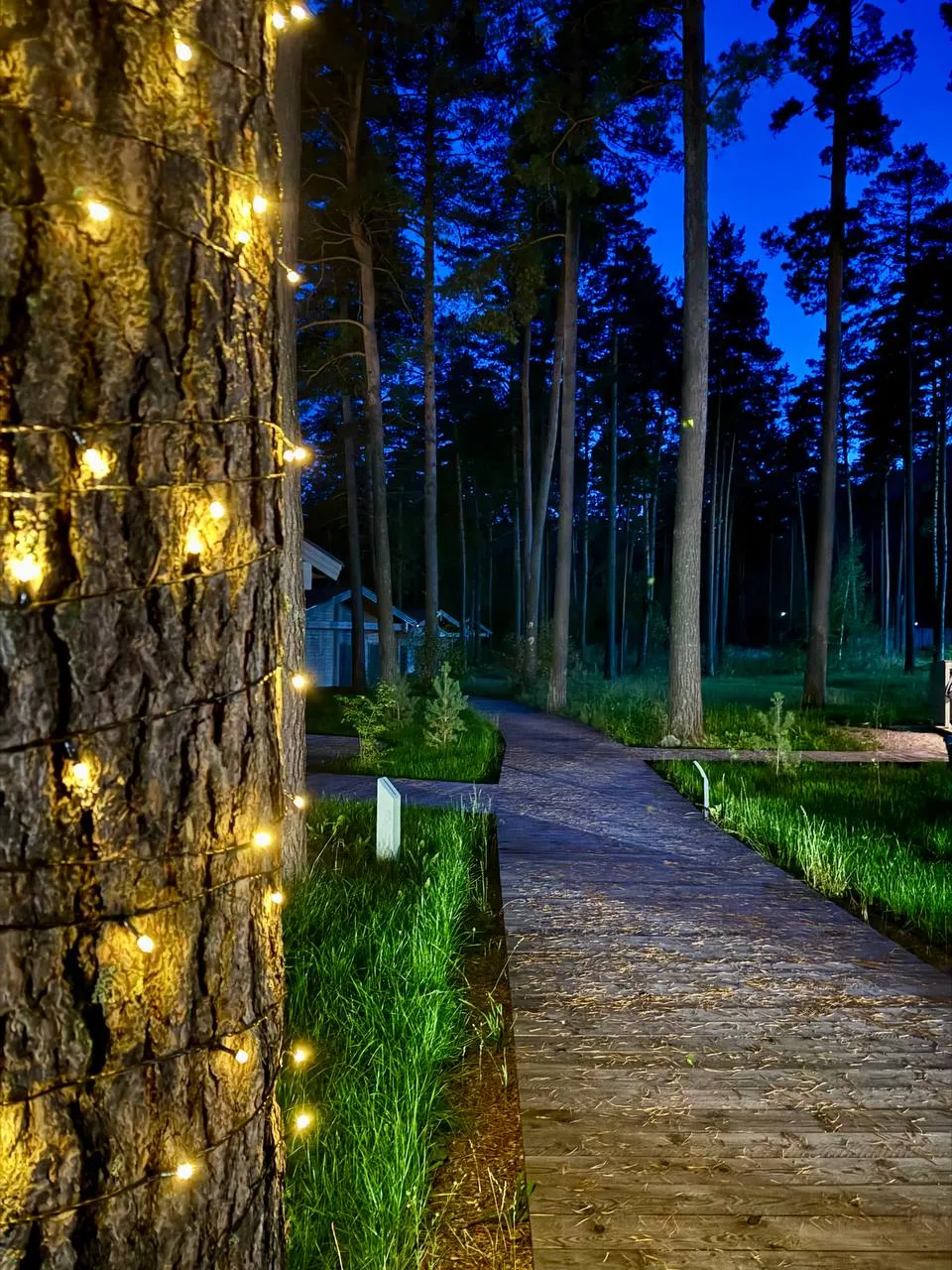 Мгновение ночи