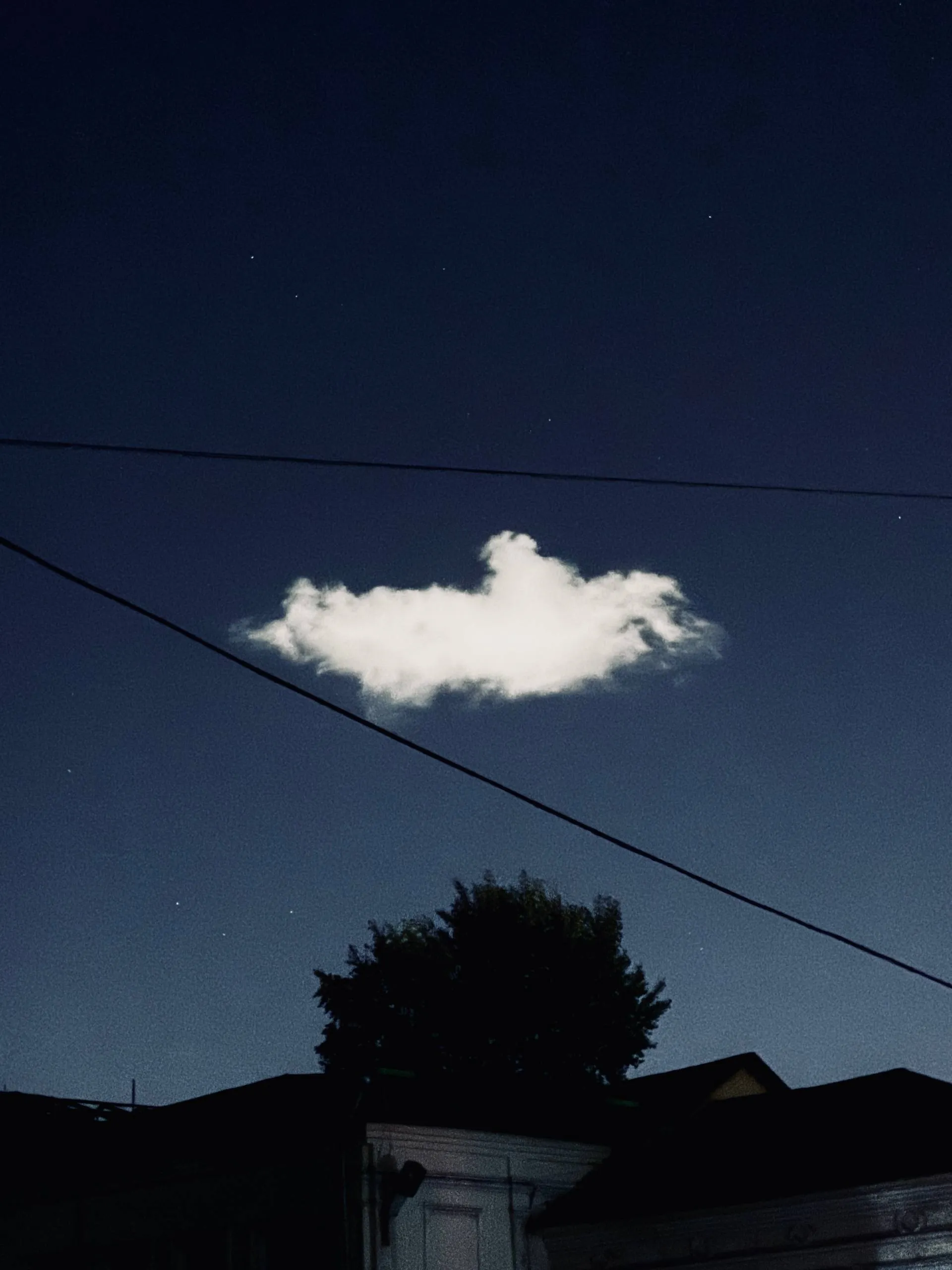 Одинокая мысль, связанная сомнениями.