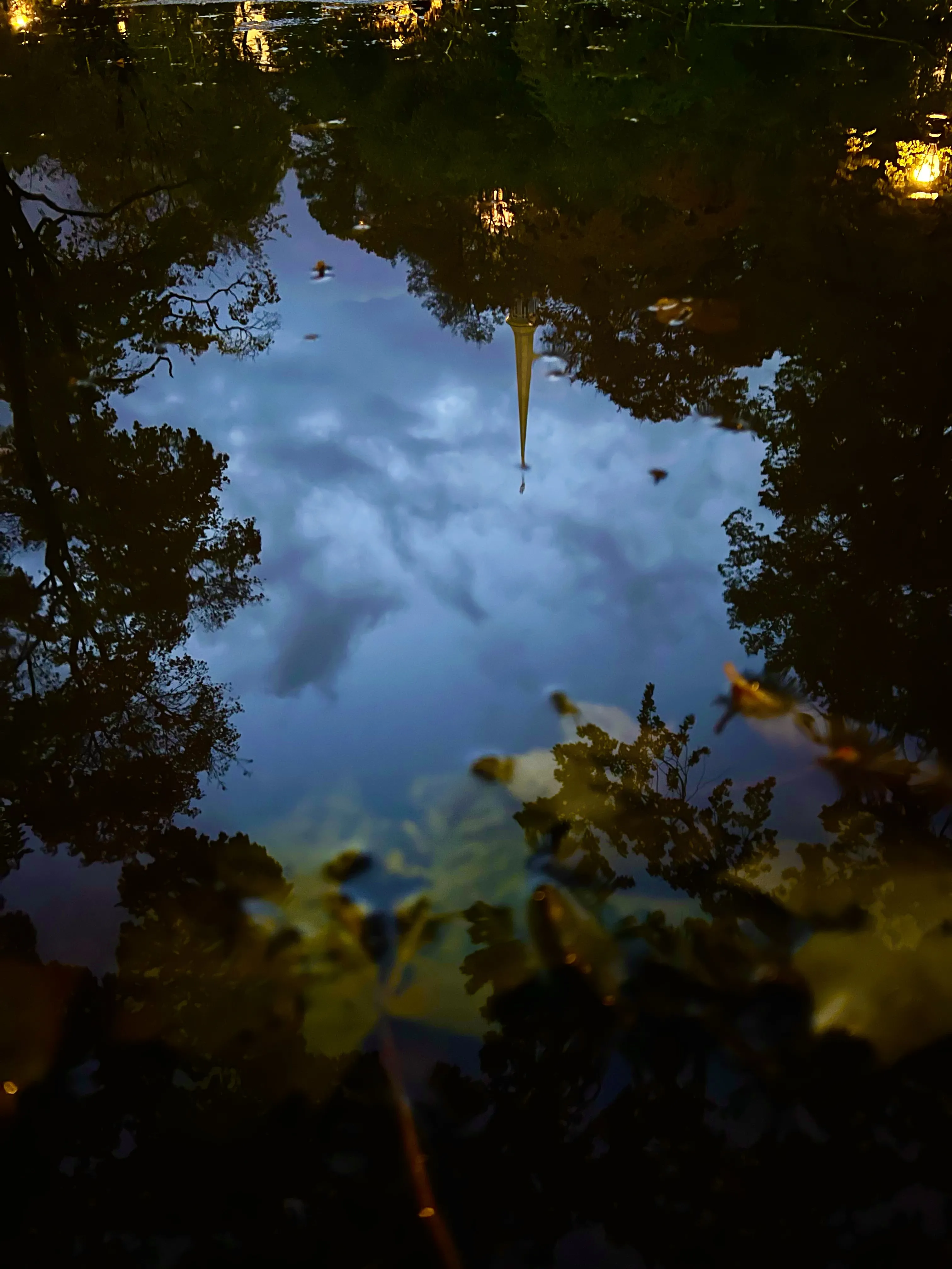 отражение осени