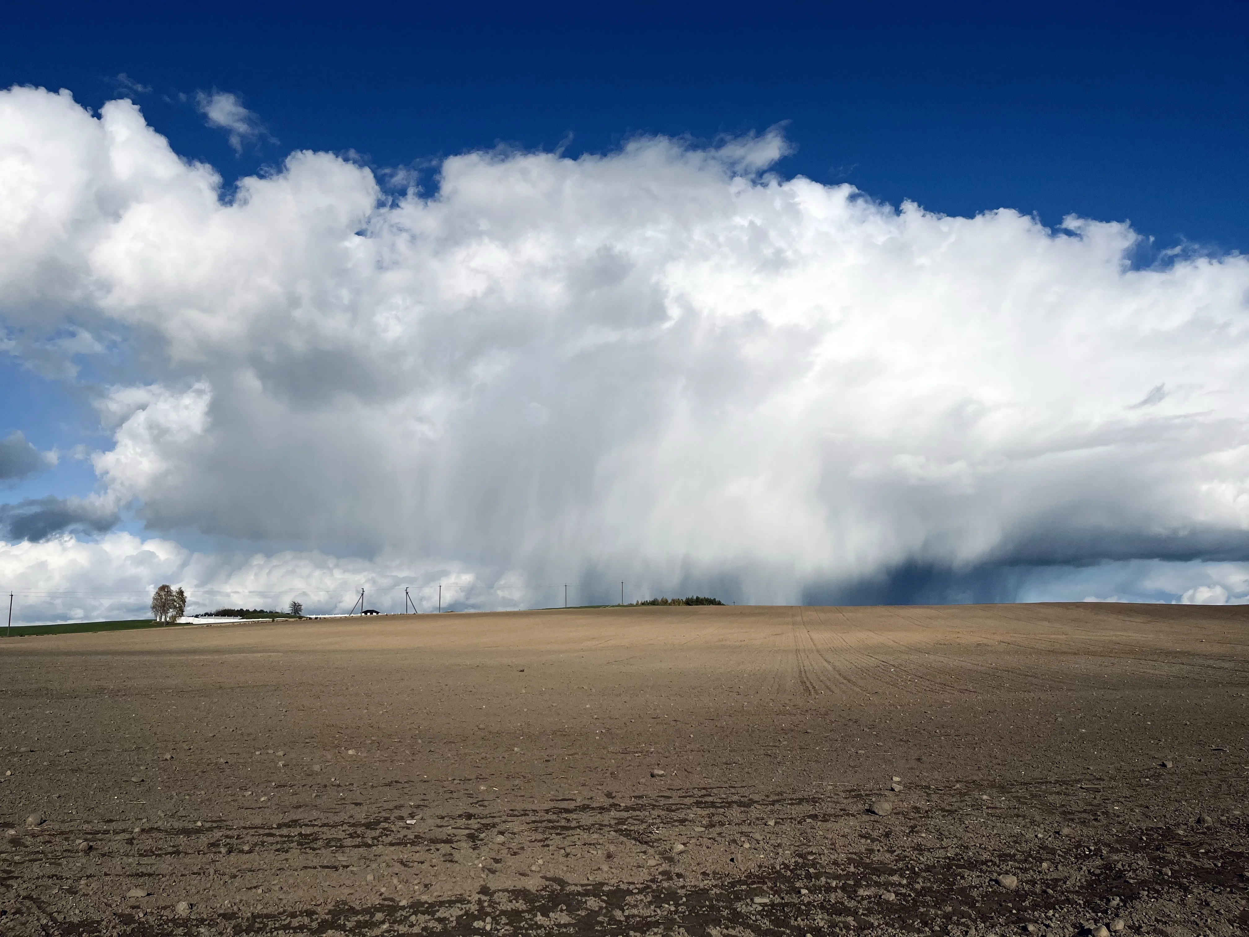 Скоро снова будет лето