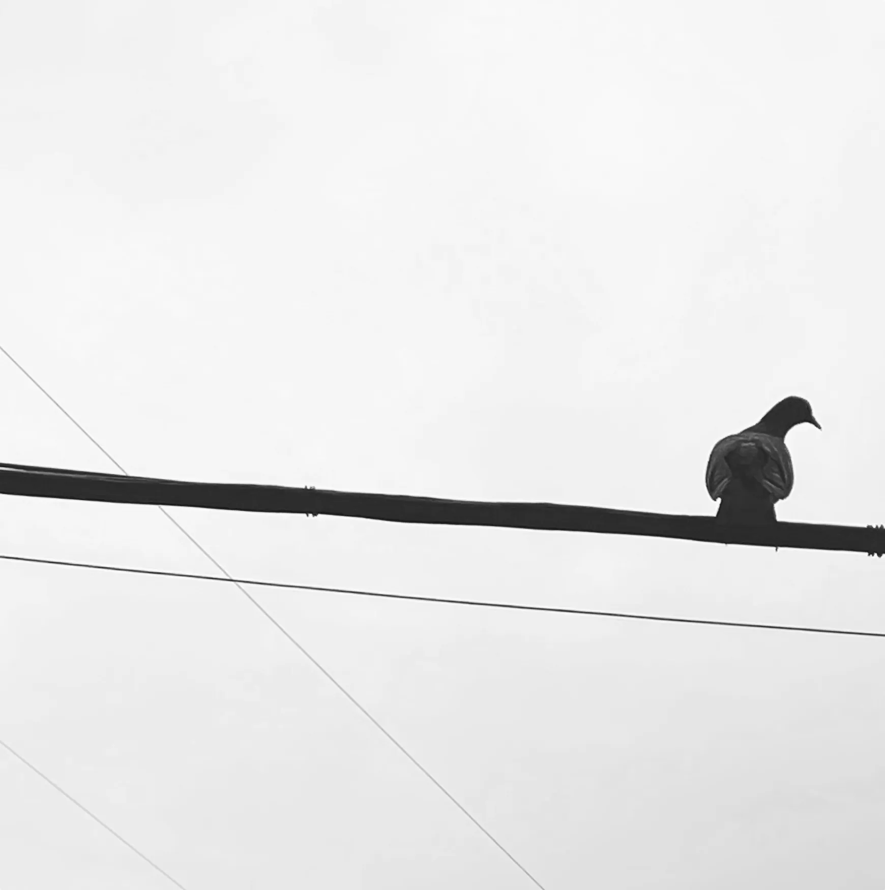 Мгновение перед взлётом