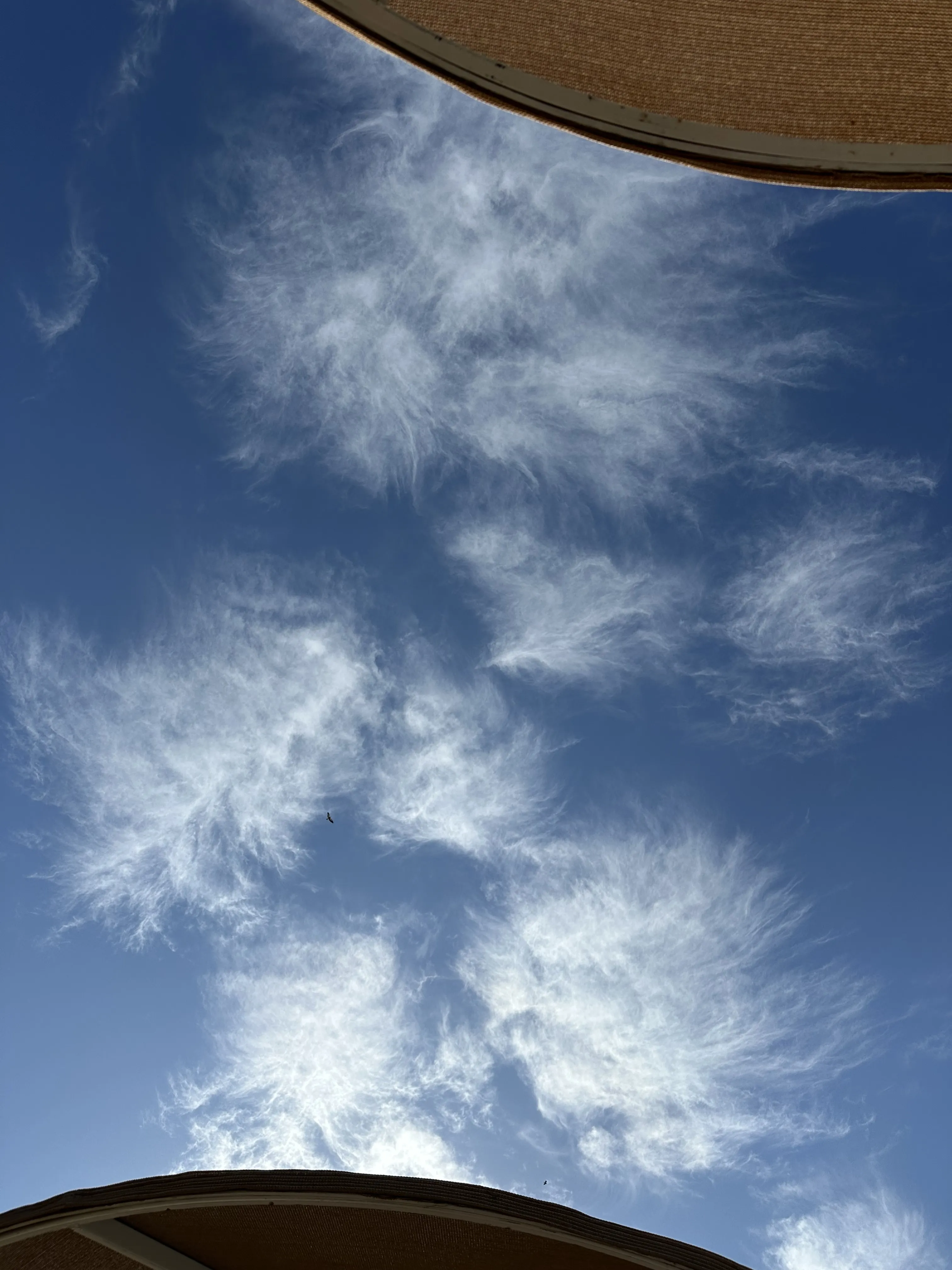 Райские облака